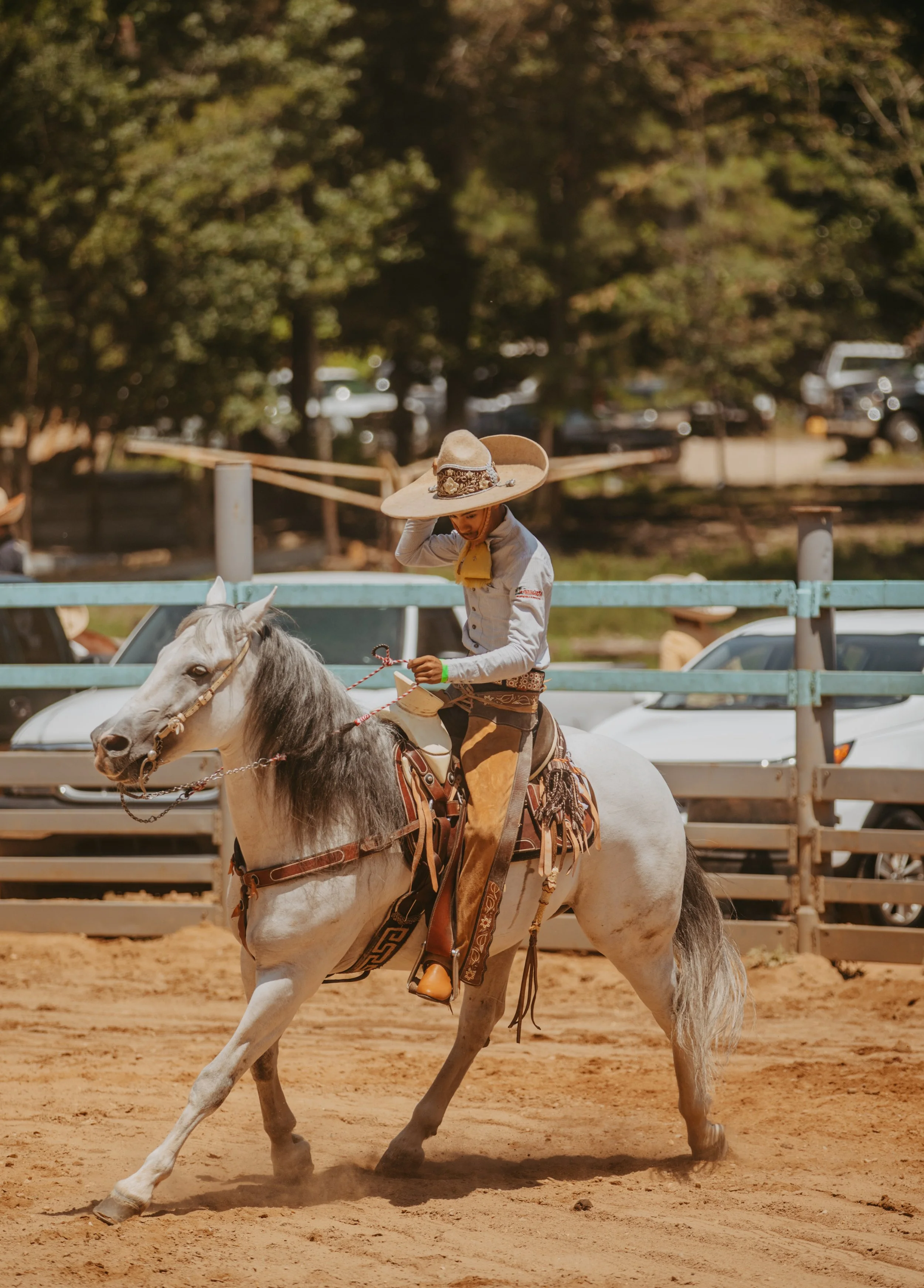 stephany-barboza-photography-ga-photographer-charros1K9A0139.jpeg