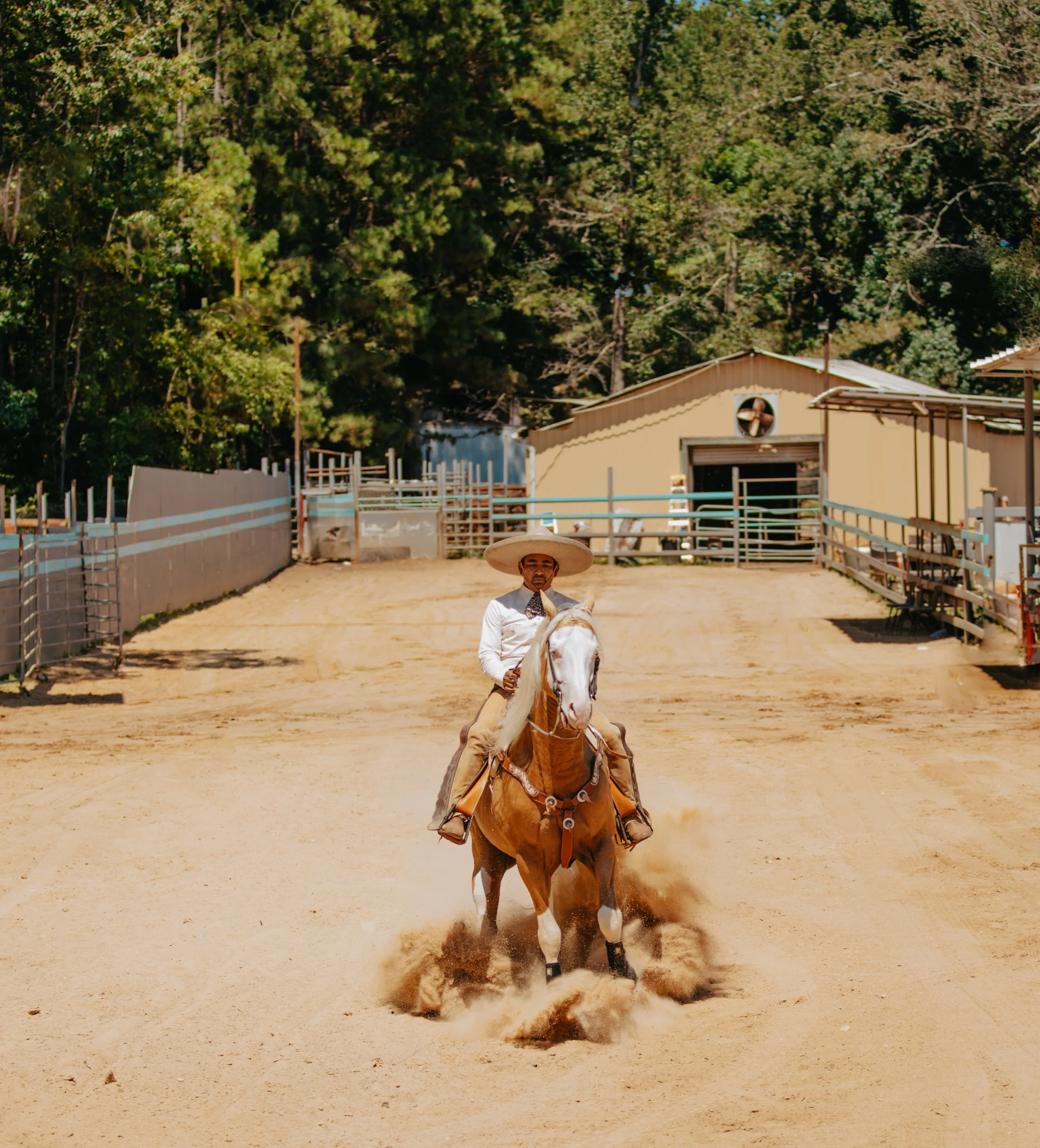 stephany-barboza-photography-ga-photographer-charros1K9A0121.jpeg