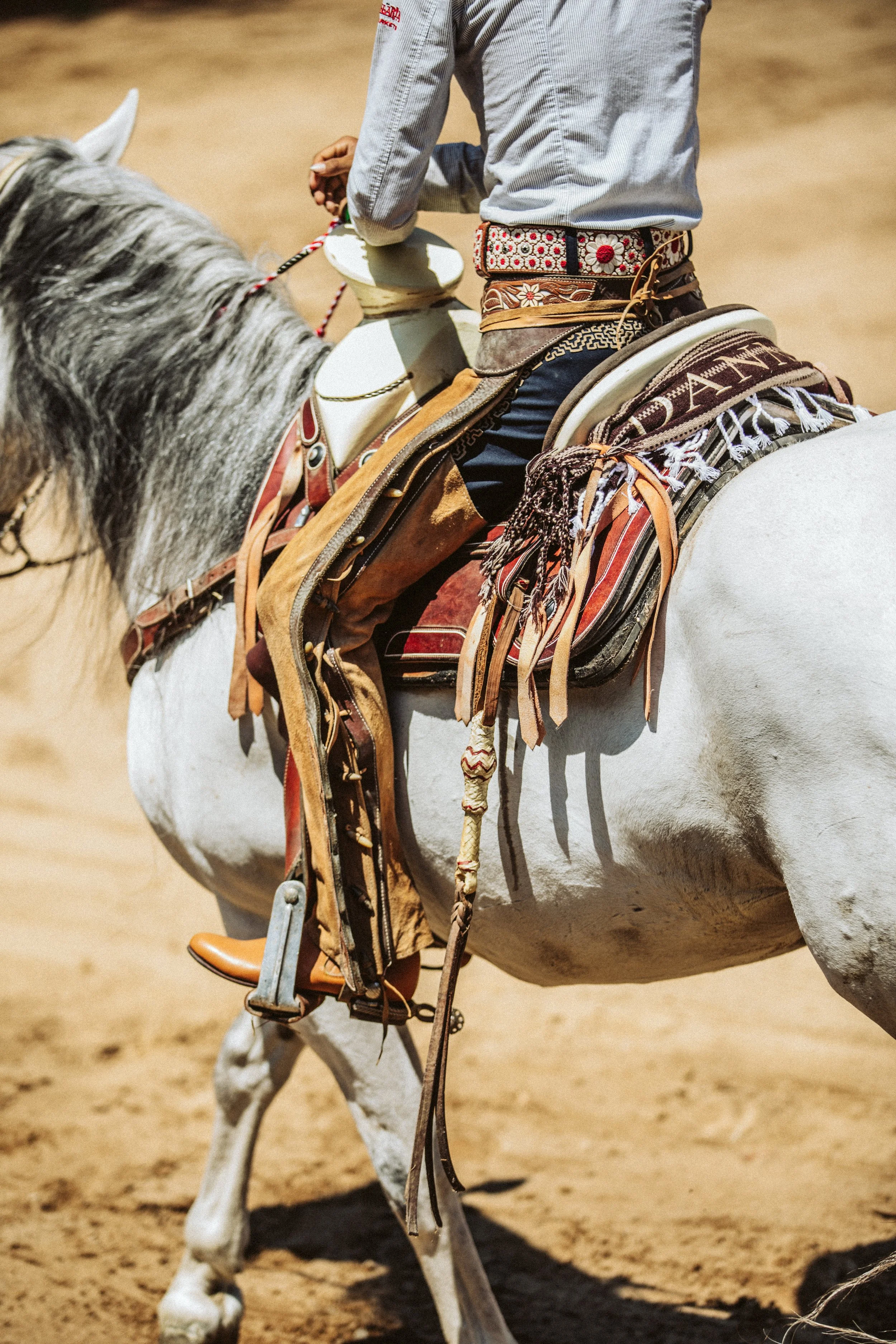 stephany-barboza-photography-ga-photographer-charros1K9A0101.jpeg