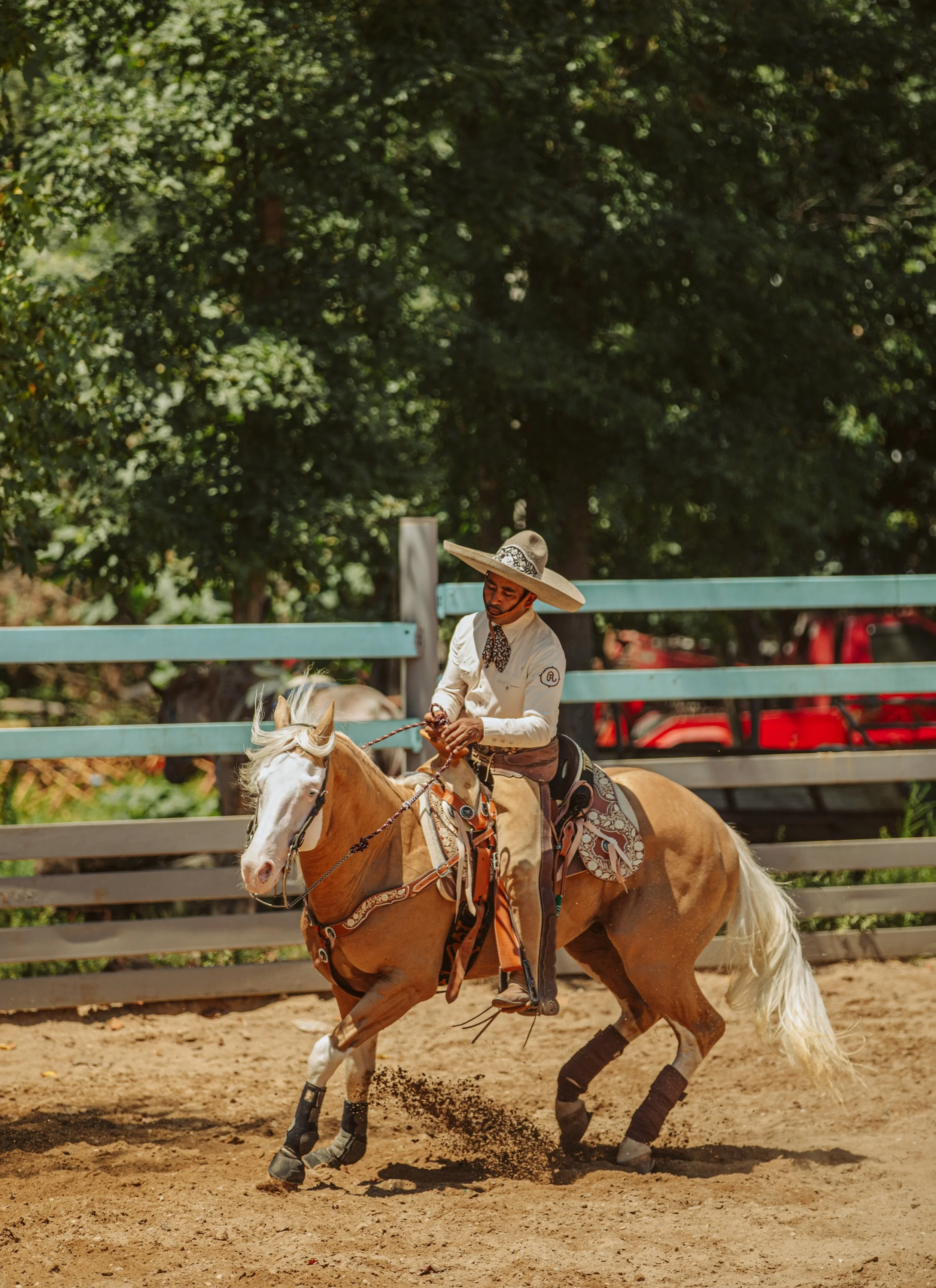 stephany-barboza-photography-ga-photographer-charros1K9A0064.jpeg