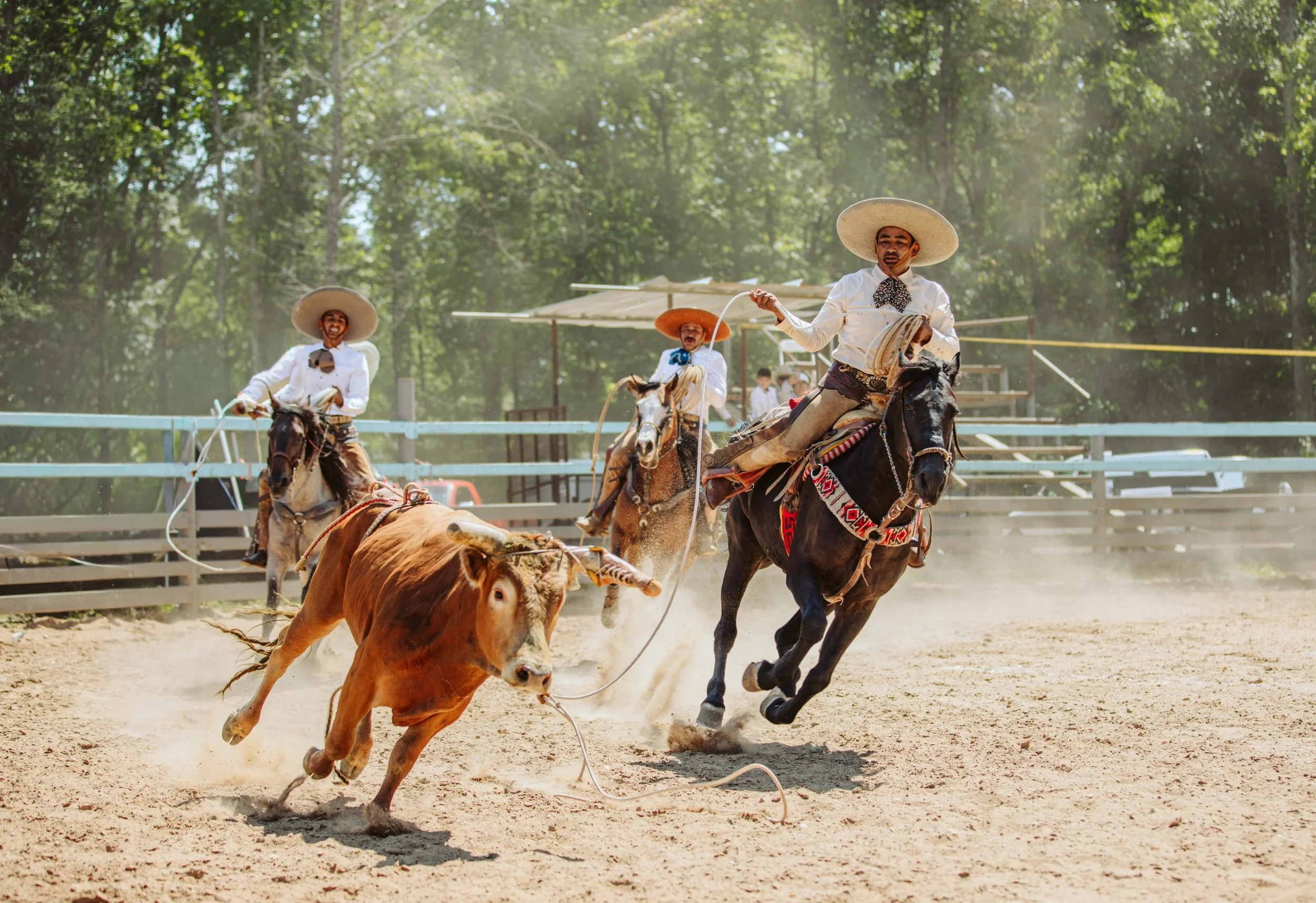 More Than a Rodeo: What Most People Don’t Know About Charreria