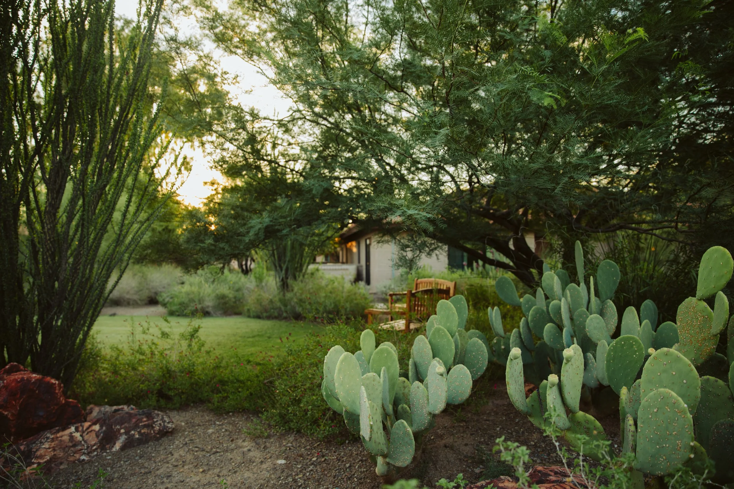Desert Garden with Cacti at Rancho de los Caballeros