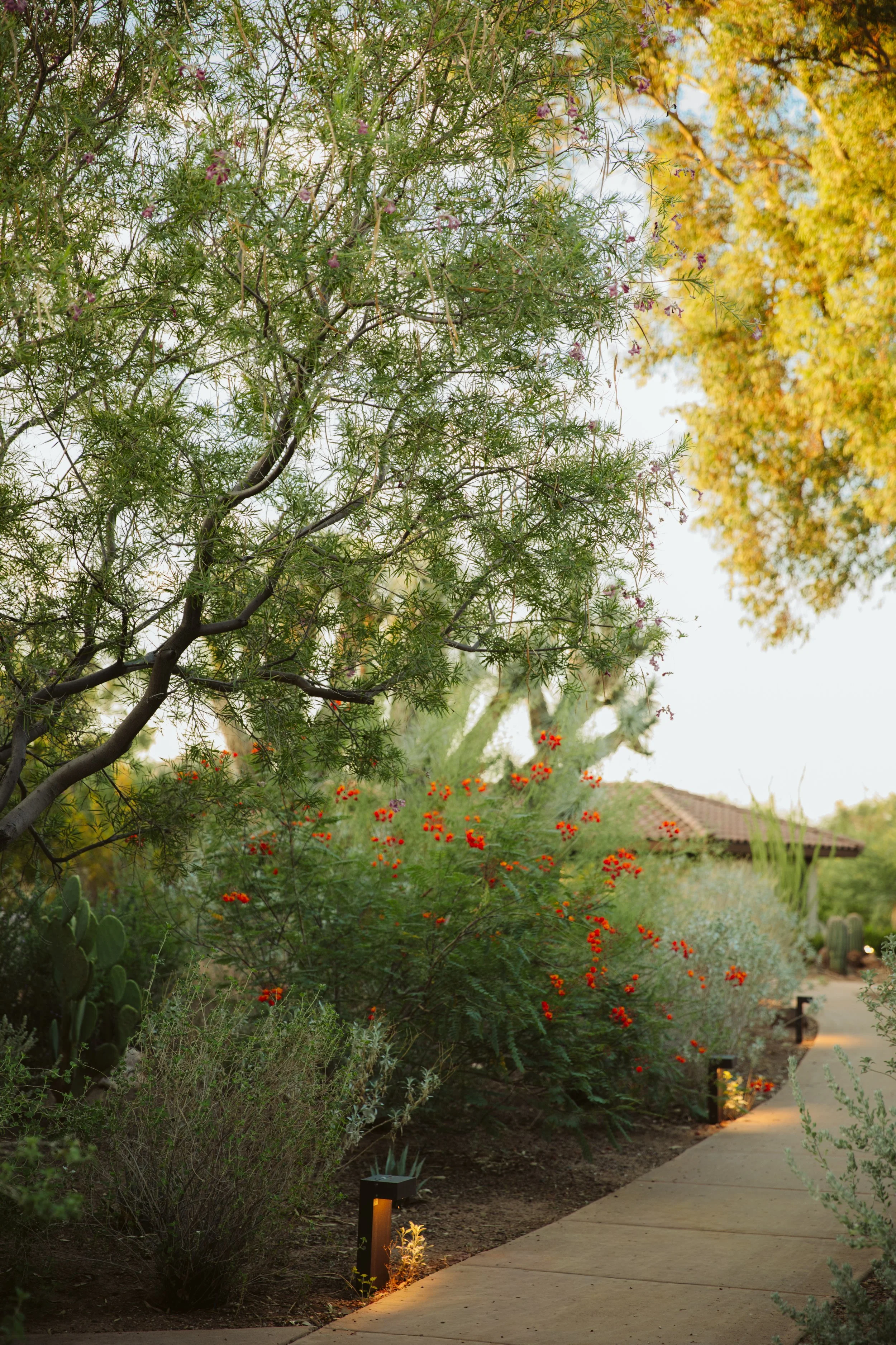 Arizona Ranch Garden Path