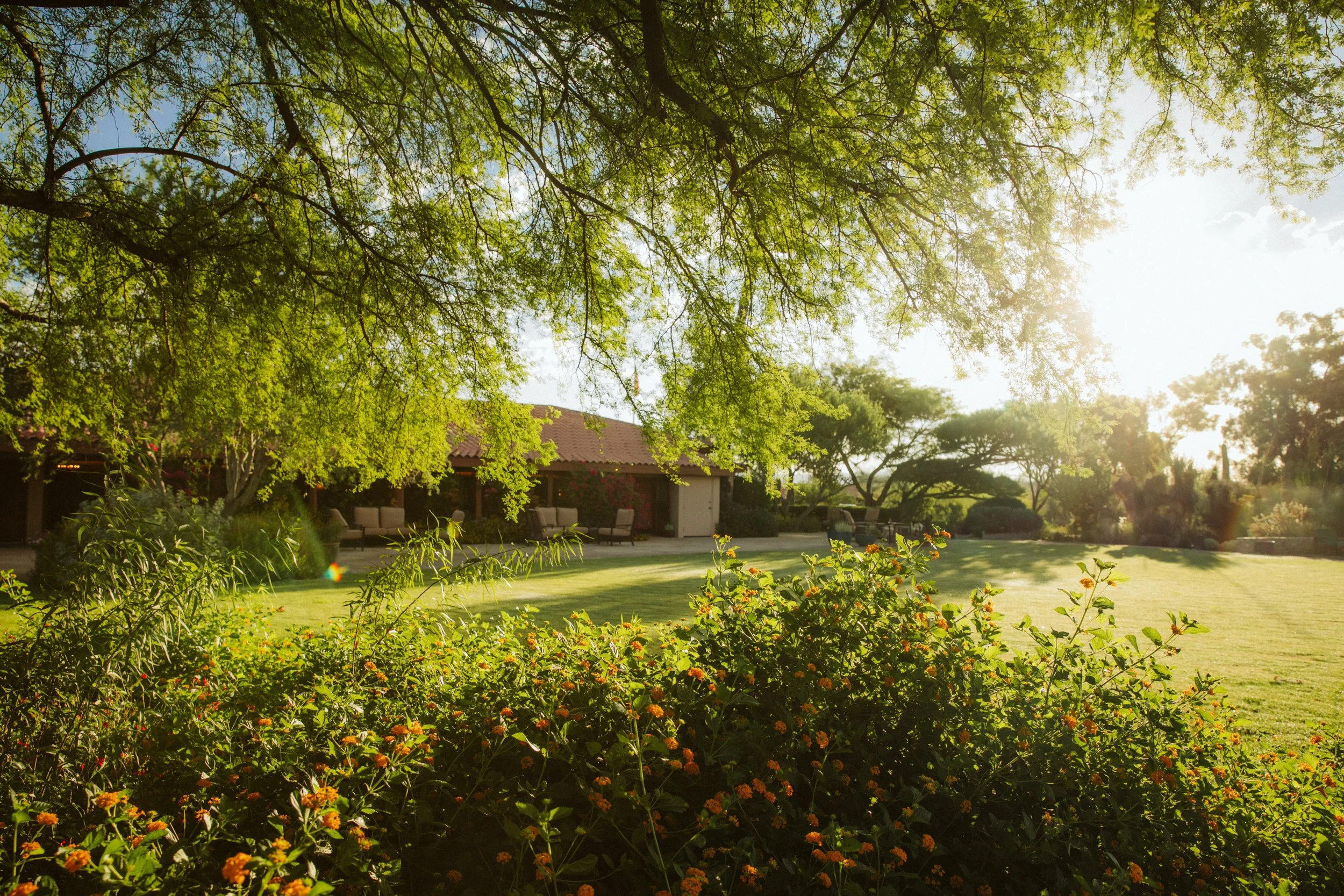 Sunlit Arizona Ranch Grounds