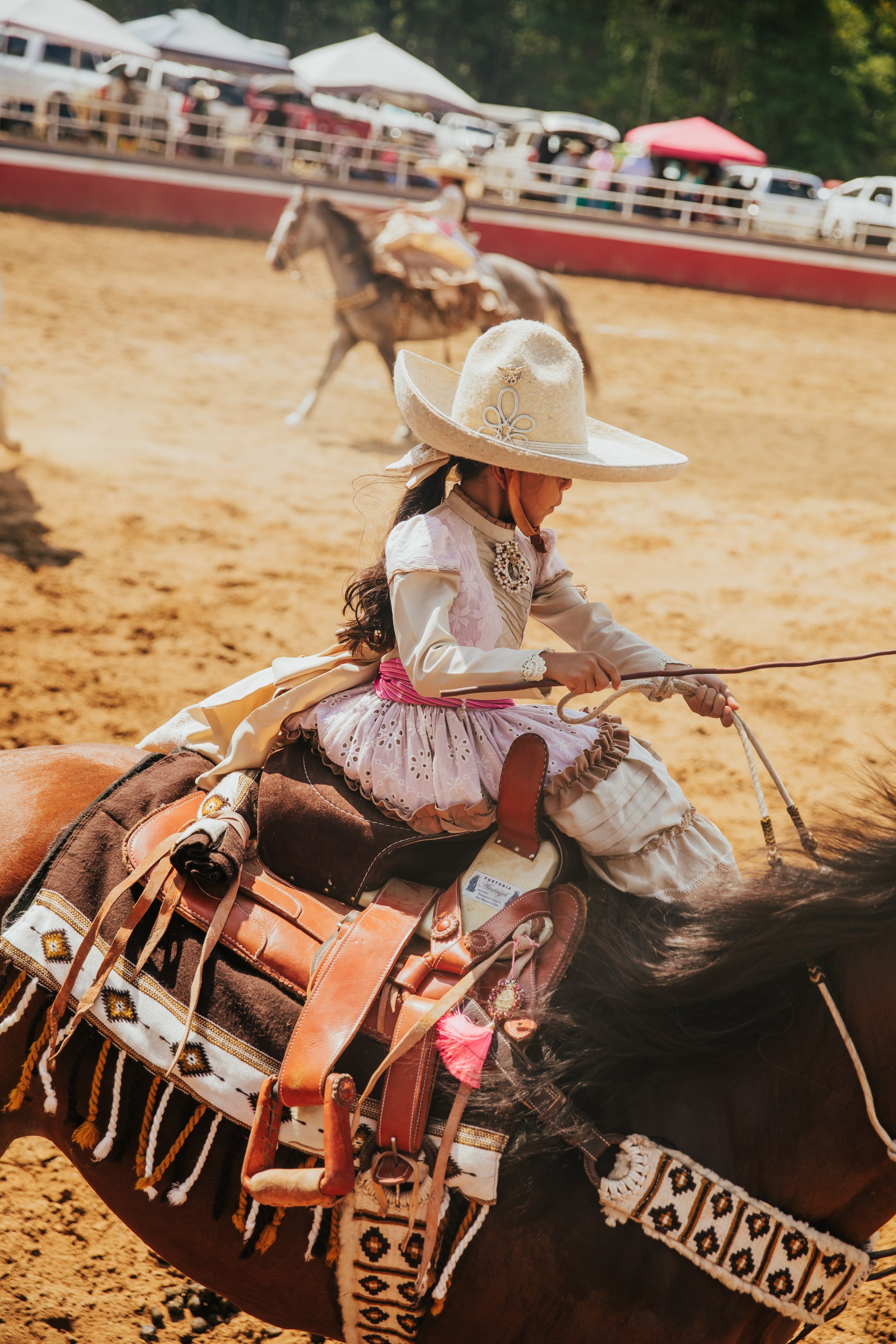 Rider Portrait on Horseback