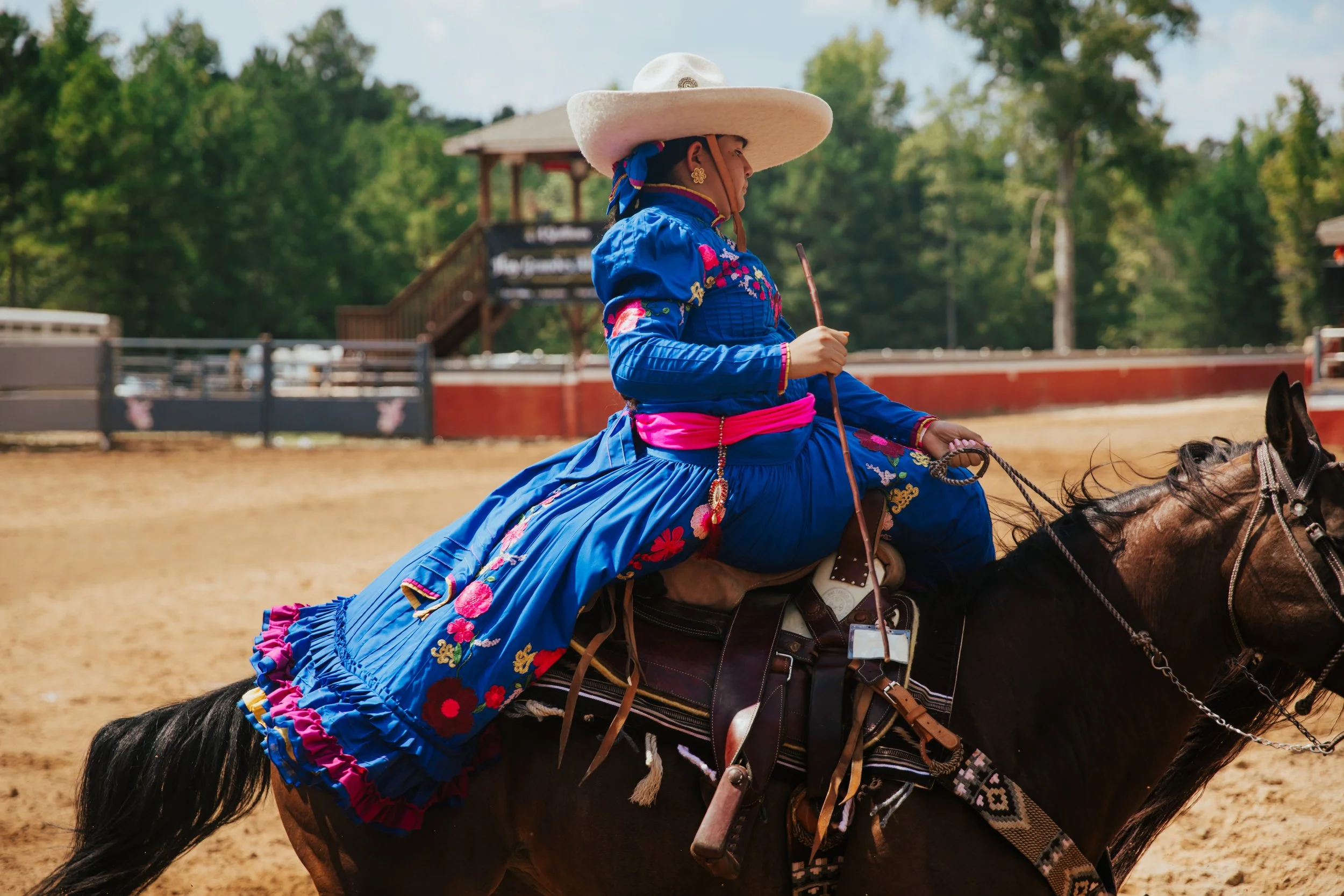 Blue Escaramuza Rider During Charreada