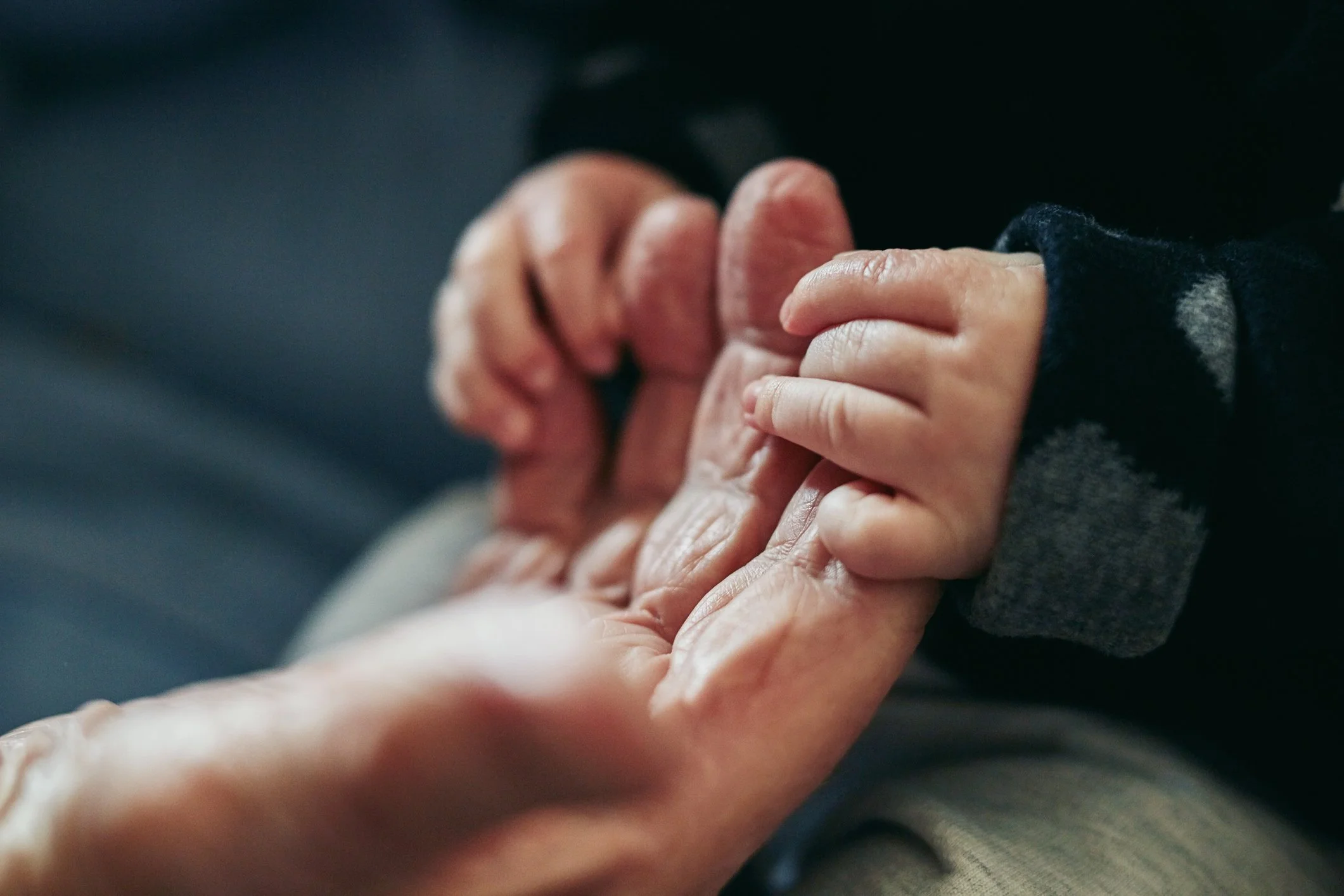 Building Bridges Across Generations: Prima Living Featured on CBC News