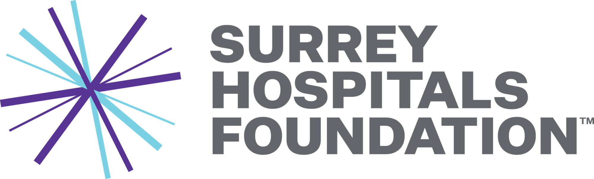 SHF_Logo_Primary_PURPLE_BLUE_Positive_RGB.png