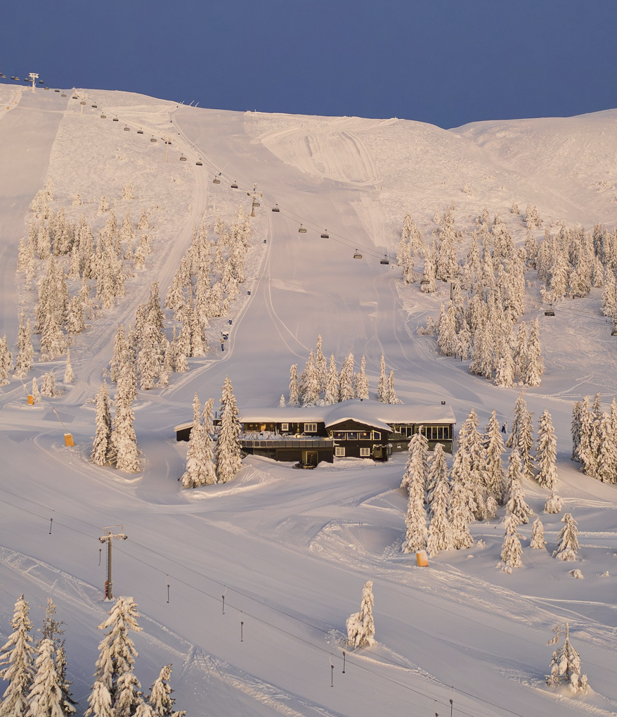 Foodyfly-supper er en suksess på norske skisteder