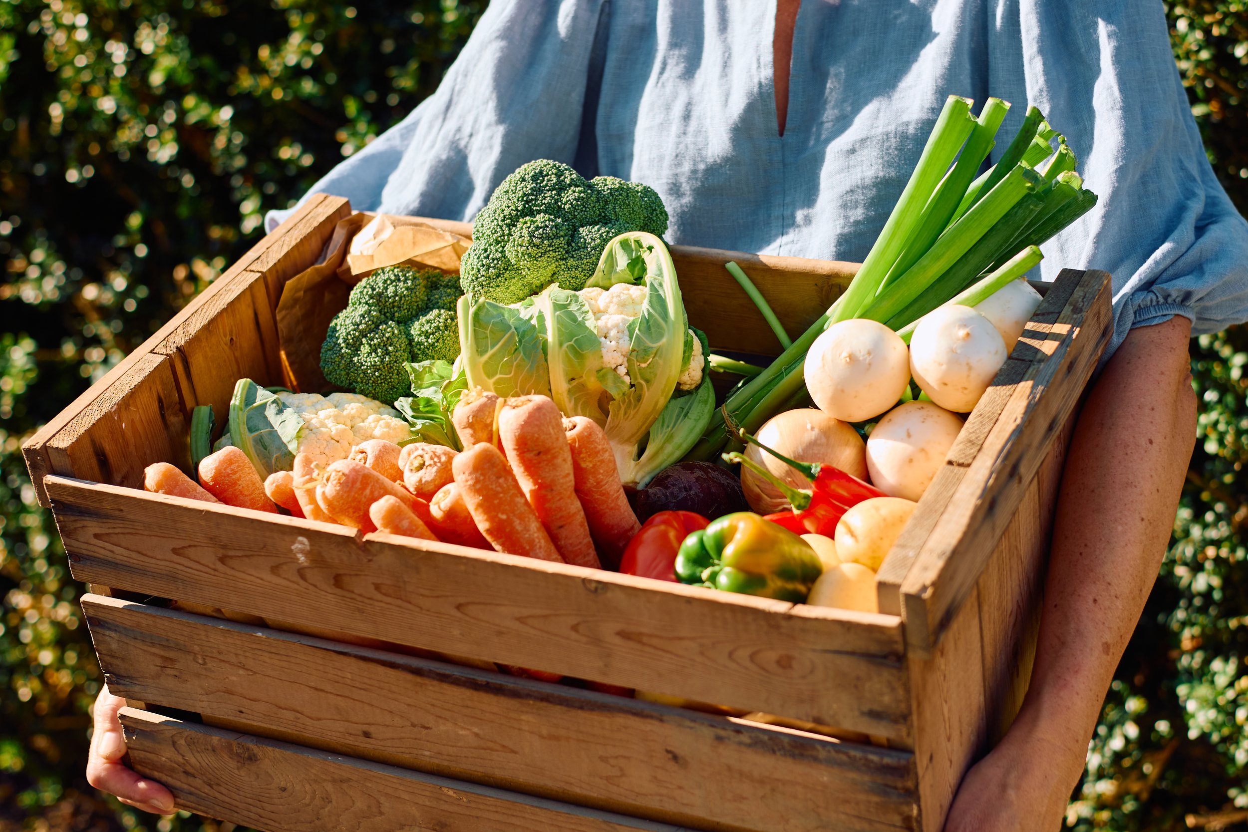 En person som holder en treboks full av norske, lokale og sesongbaserte grønnsaker.