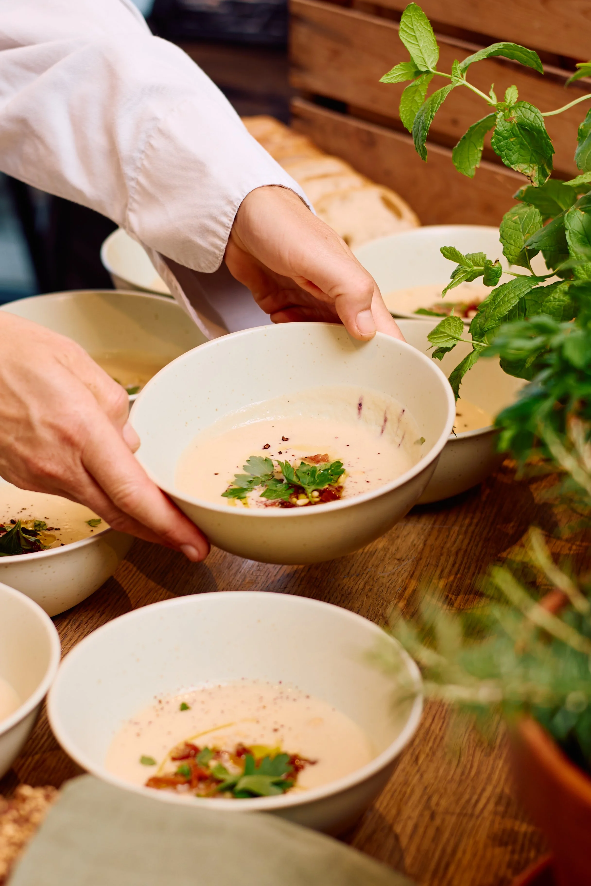 Servering av skåler med blomkålsuppe med bacon, pinjekjerner og urter