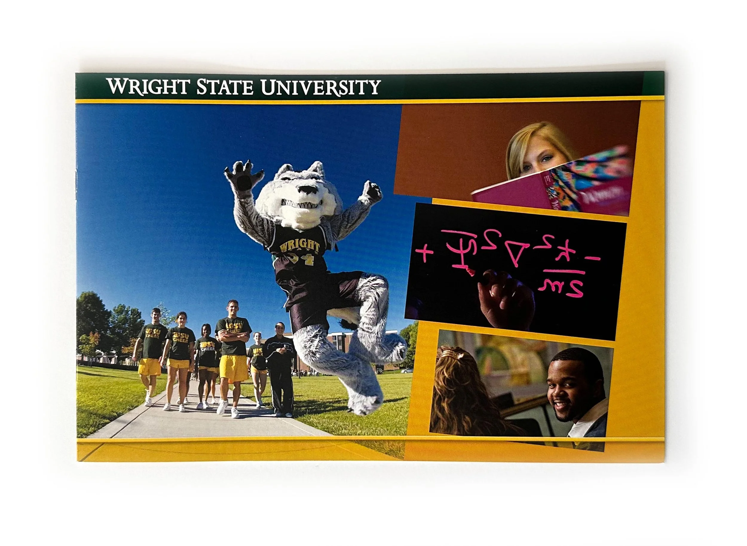 wsu-VB-01-ds.jpg