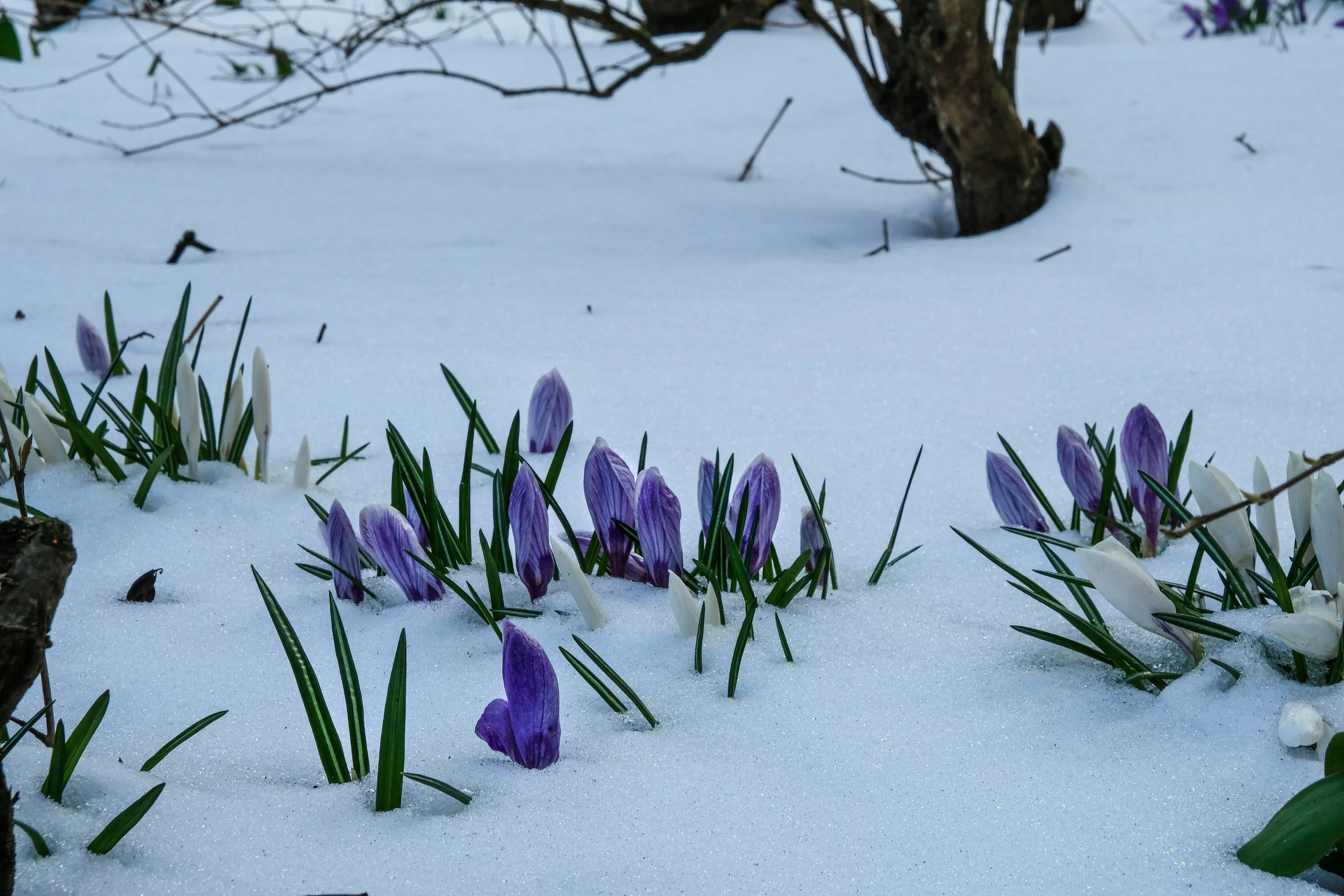 How to Wake Your Skin Up After Winter Without Overdoing It