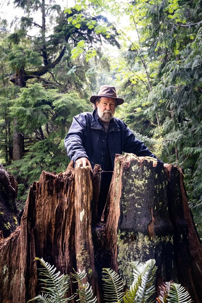 vital impacts-15.jpg