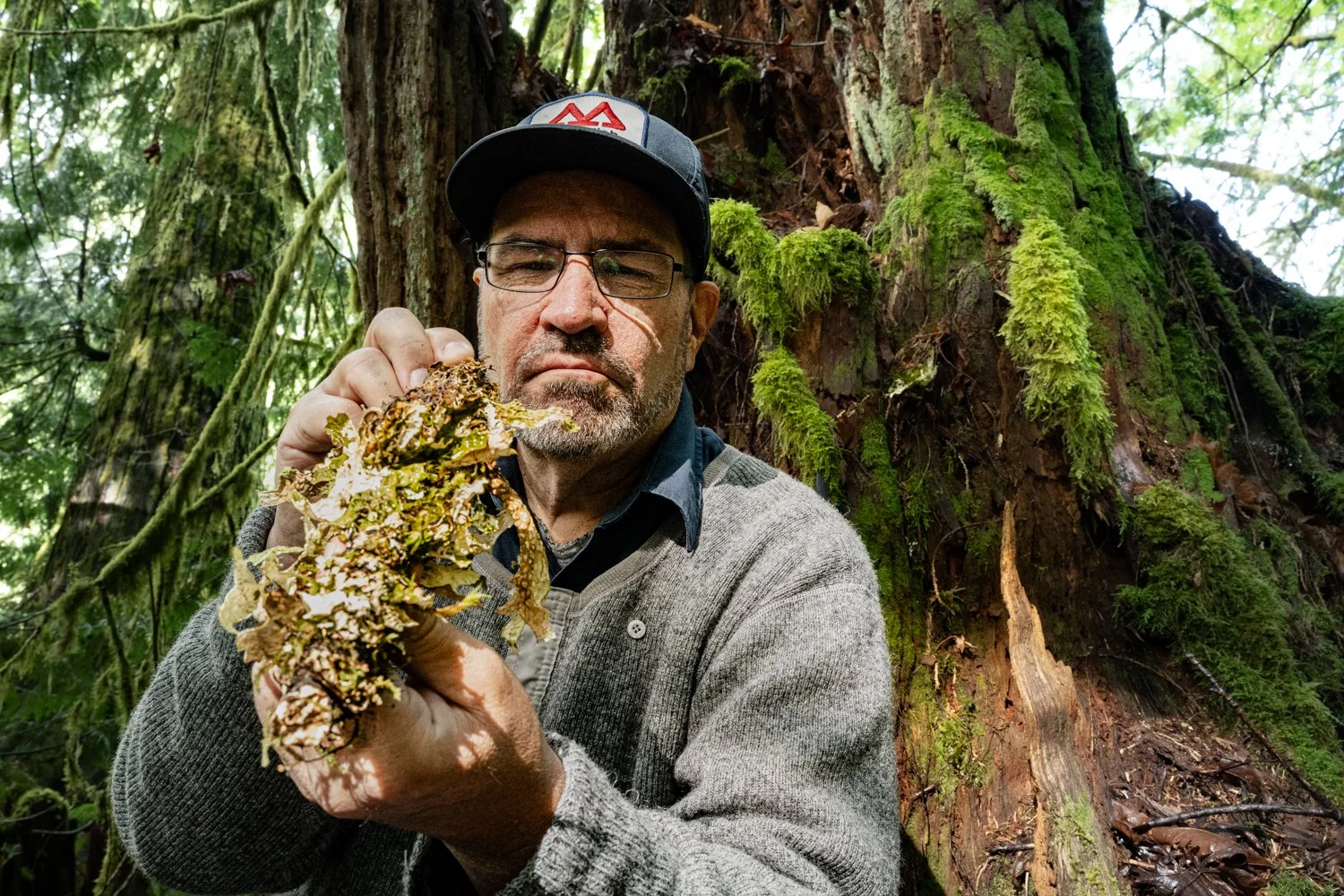 vital impacts-16.jpg