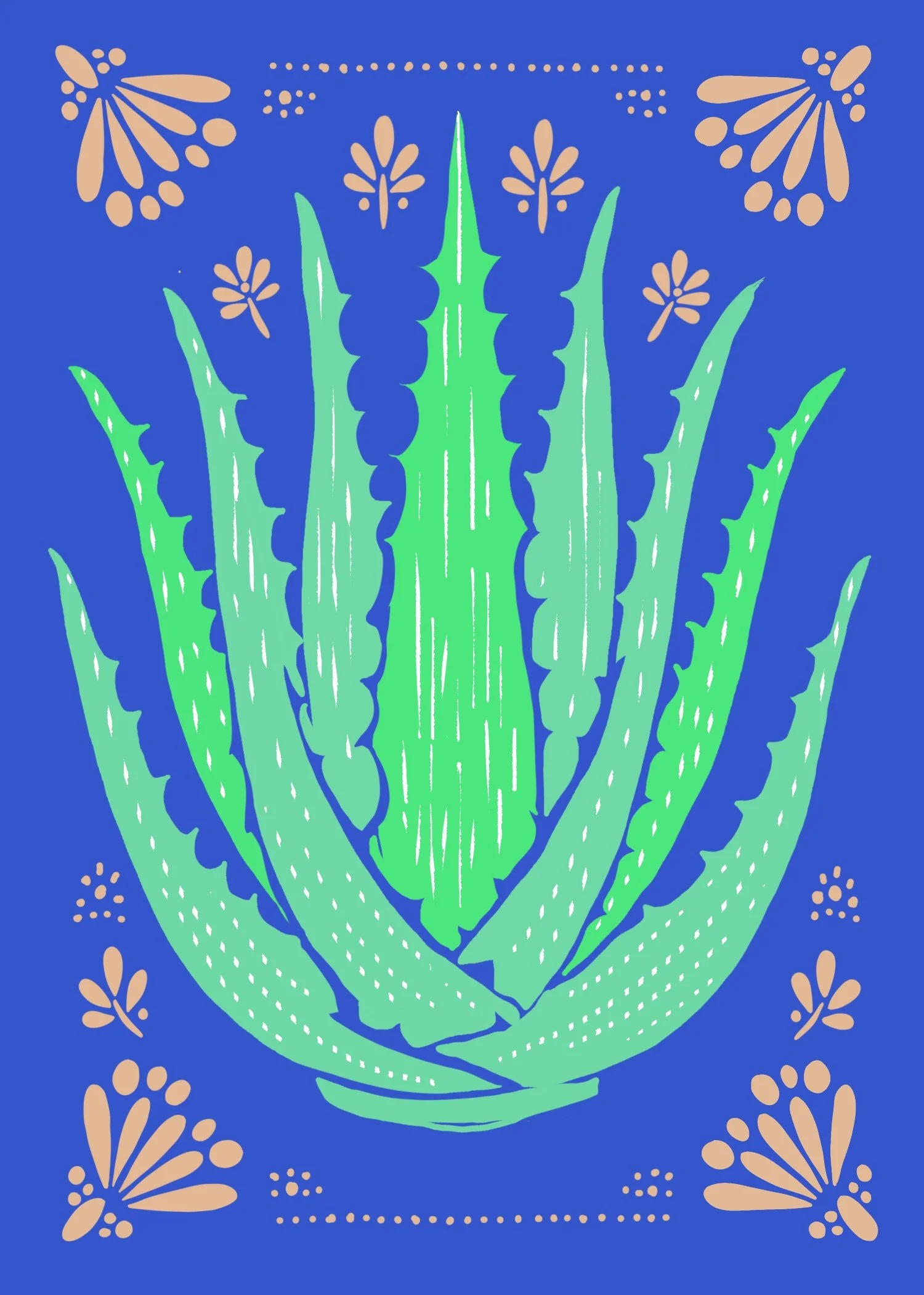 Aloe.jpg