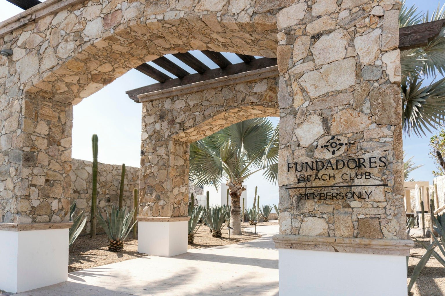 6 - Lot 160 Padre Piccolo.jpg