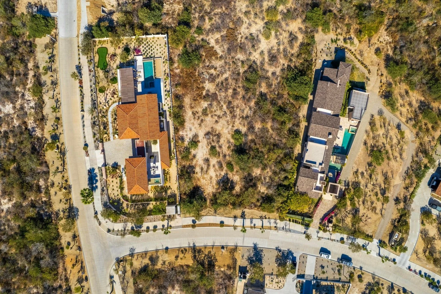 4 - Lot 160 Padre Piccolo.jpg