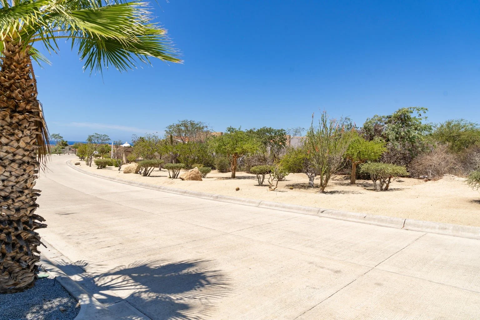 Fundadores 226 4.jpg