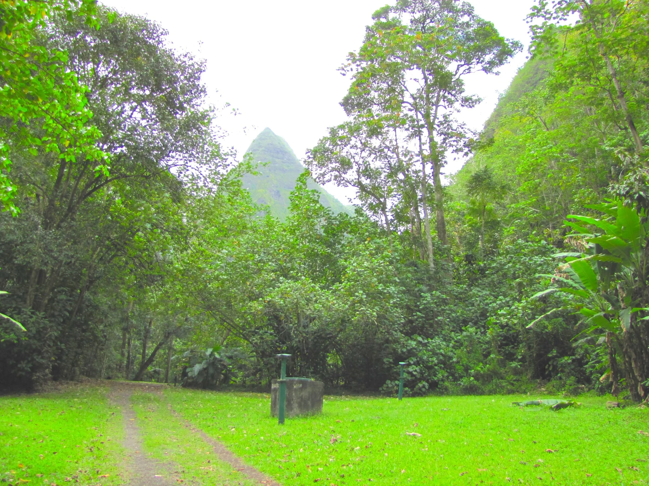 FIRST DAY IN TAHITI!