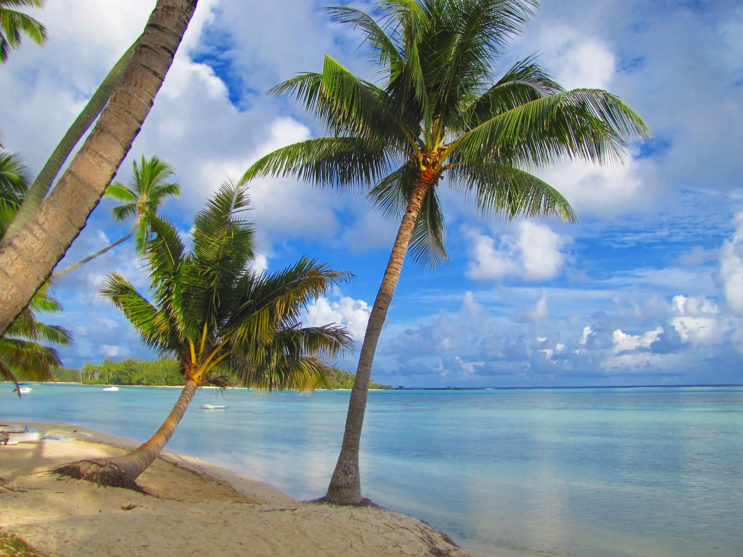 DECOUVERTE DU LAGON DE MOOREA