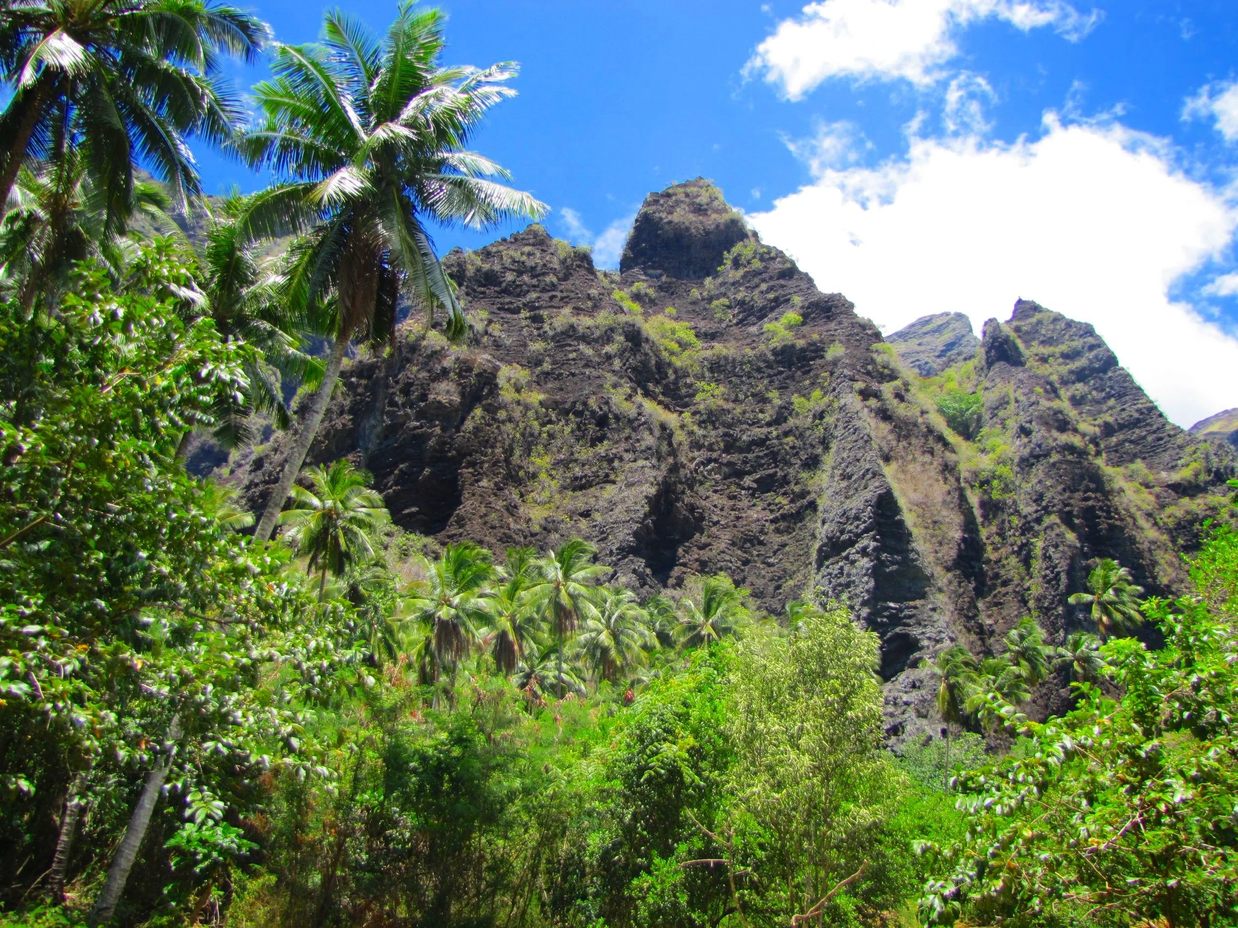 JOURNEE DECOUVERTE DE LA CASCADE DE HAKAHUI