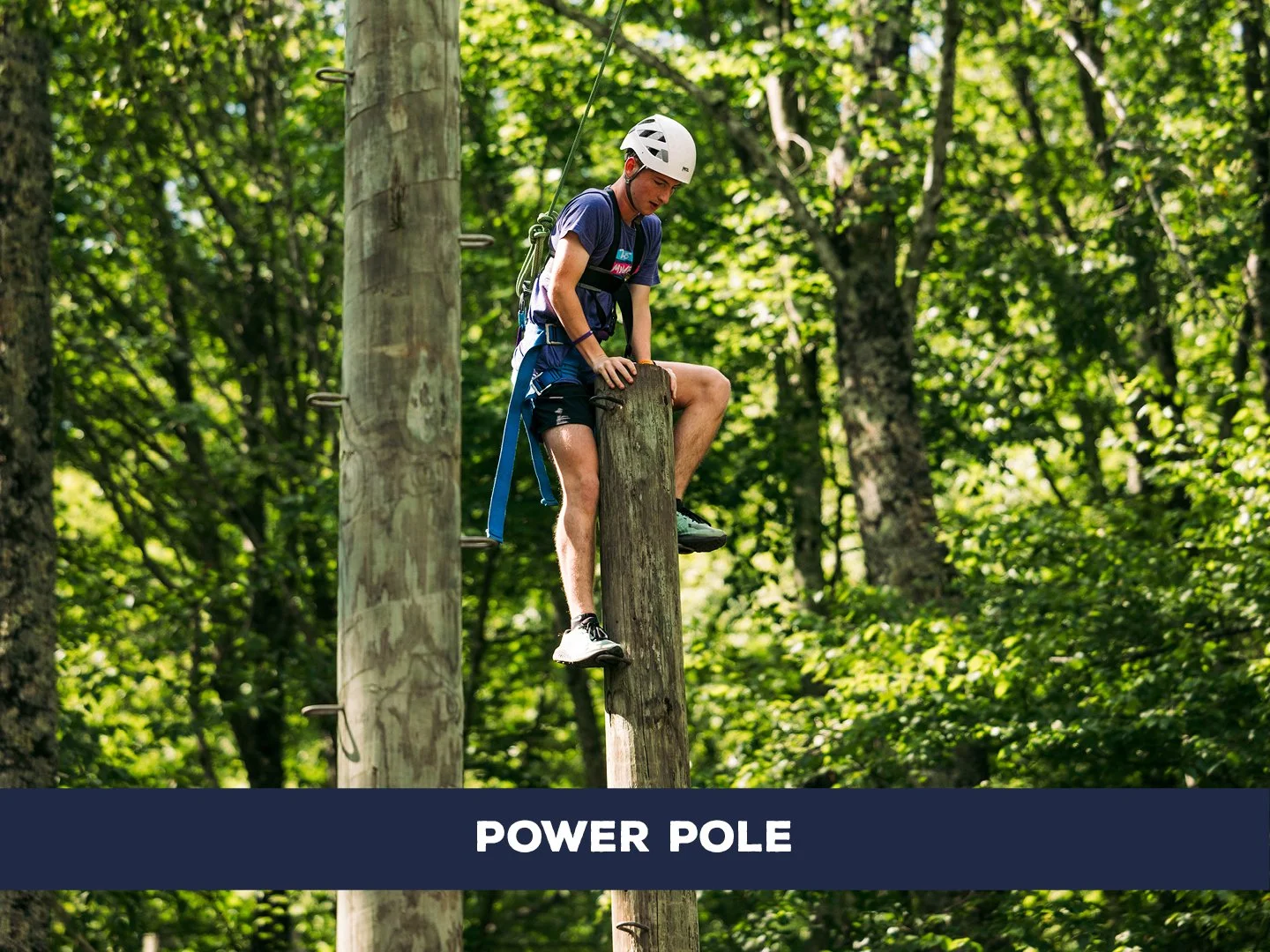 Climb a tall pole and take a leap of faith to grab a trapeze before being safely lowered to the ground.
