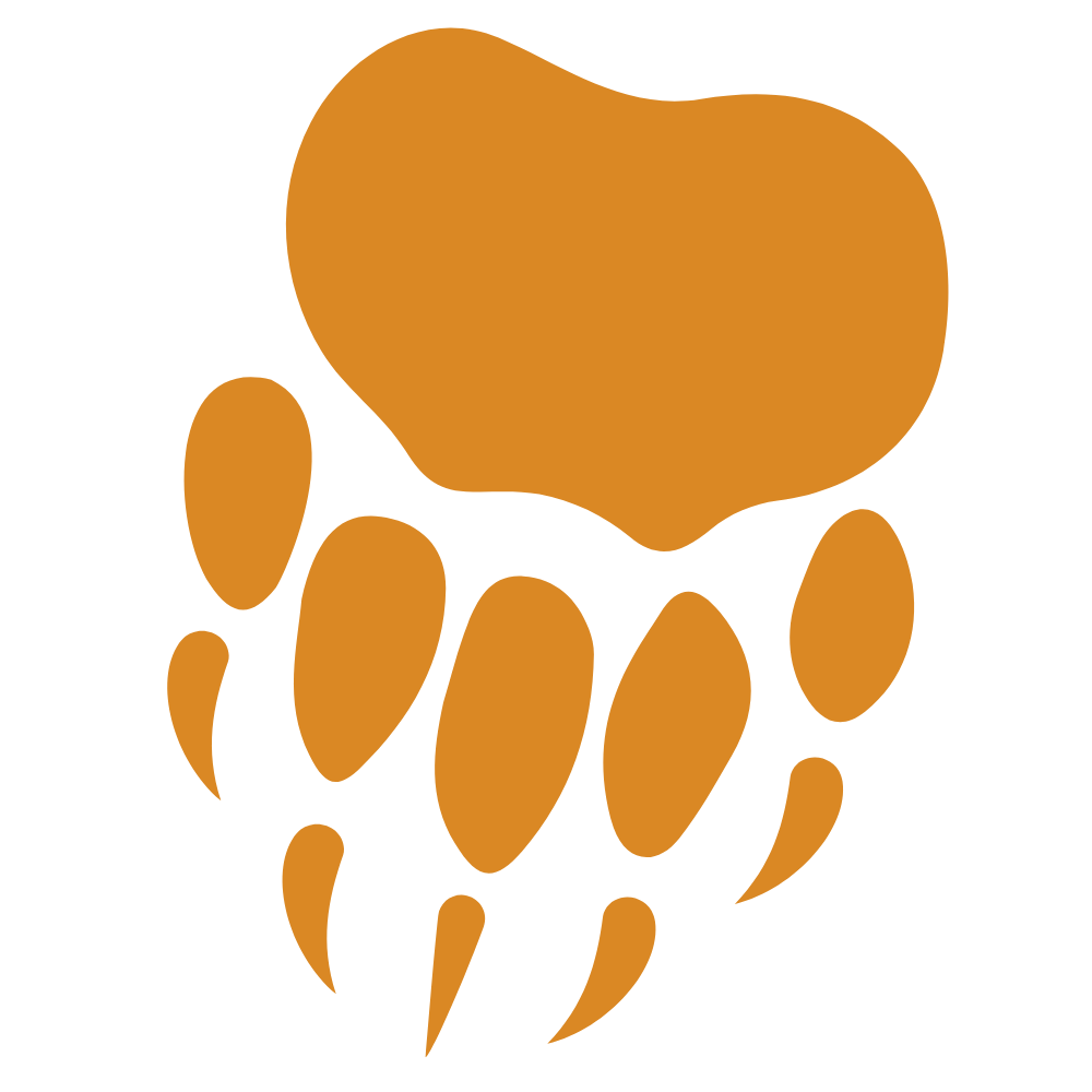 Illustration of a bear paw with claws, depicted with solid orange shape on a transparent background.