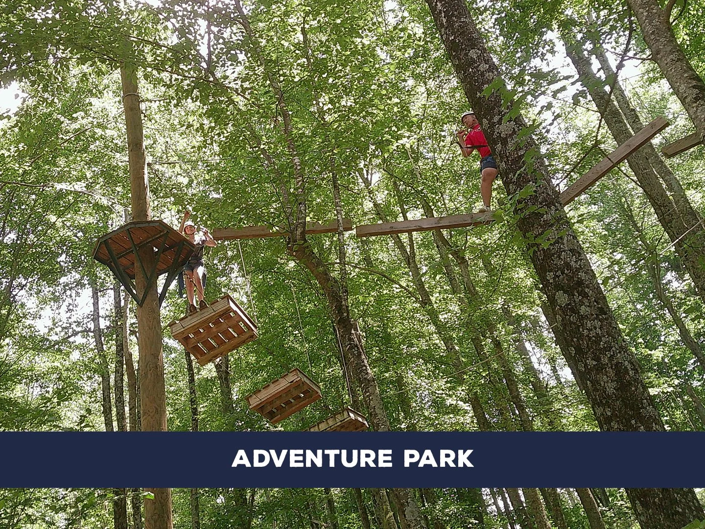 Navigate bridges, tightropes, swings, and balance challenges with multiple route options—or jump into Quick Flight.