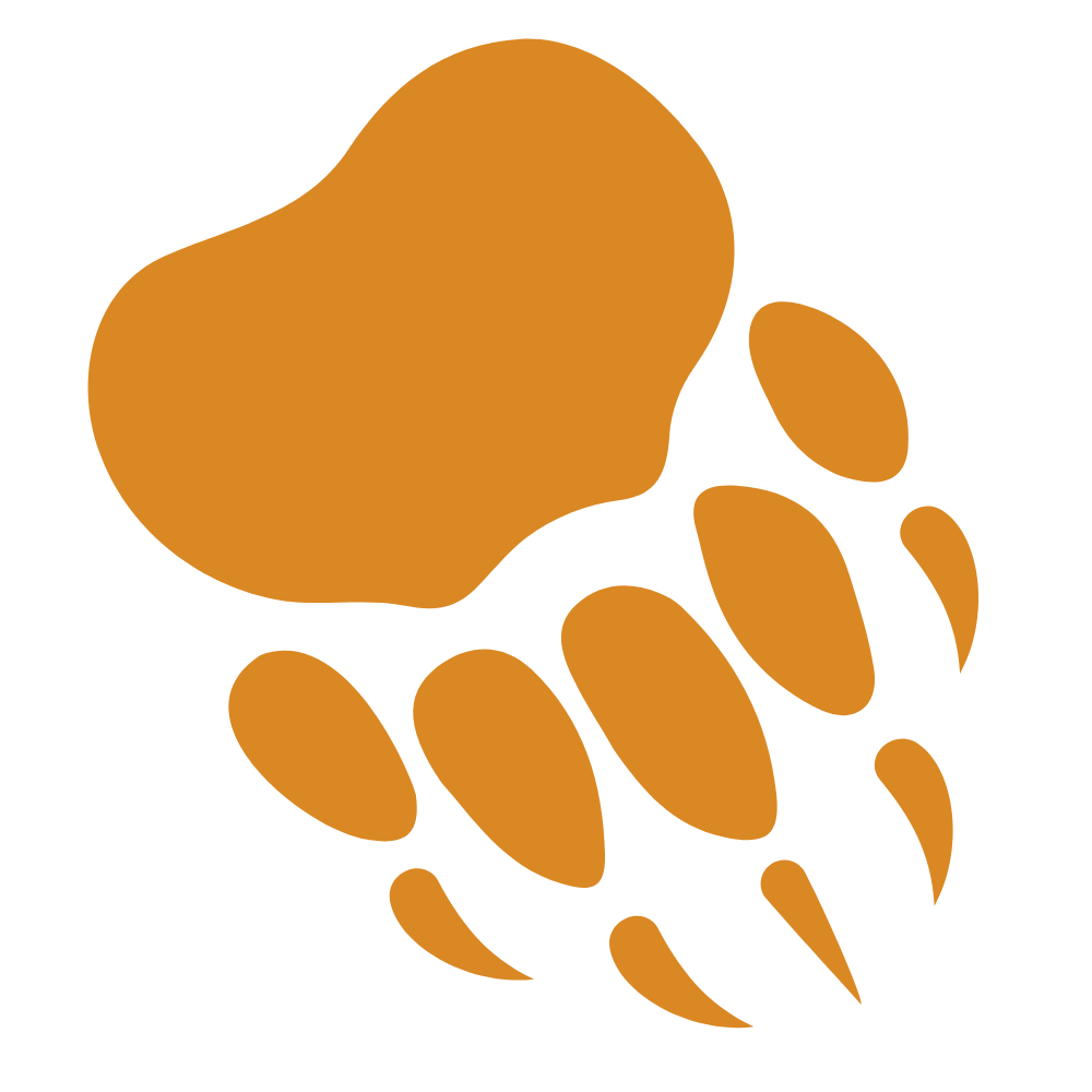Simplified illustration of a paw print with an oval-shaped pad and five toes.