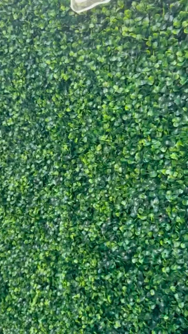 ✨THE BAR IS OPEN✨
🍃✨ Say hello to Mojito Mint ✨🍃
Fresh, crisp, and full of life, just like the drink that inspired her. Our Mojito Wall is the perfect blend of lush greens and refreshing vibes 🍸🌿🤍
Whether you’re hosting a bridal shower,