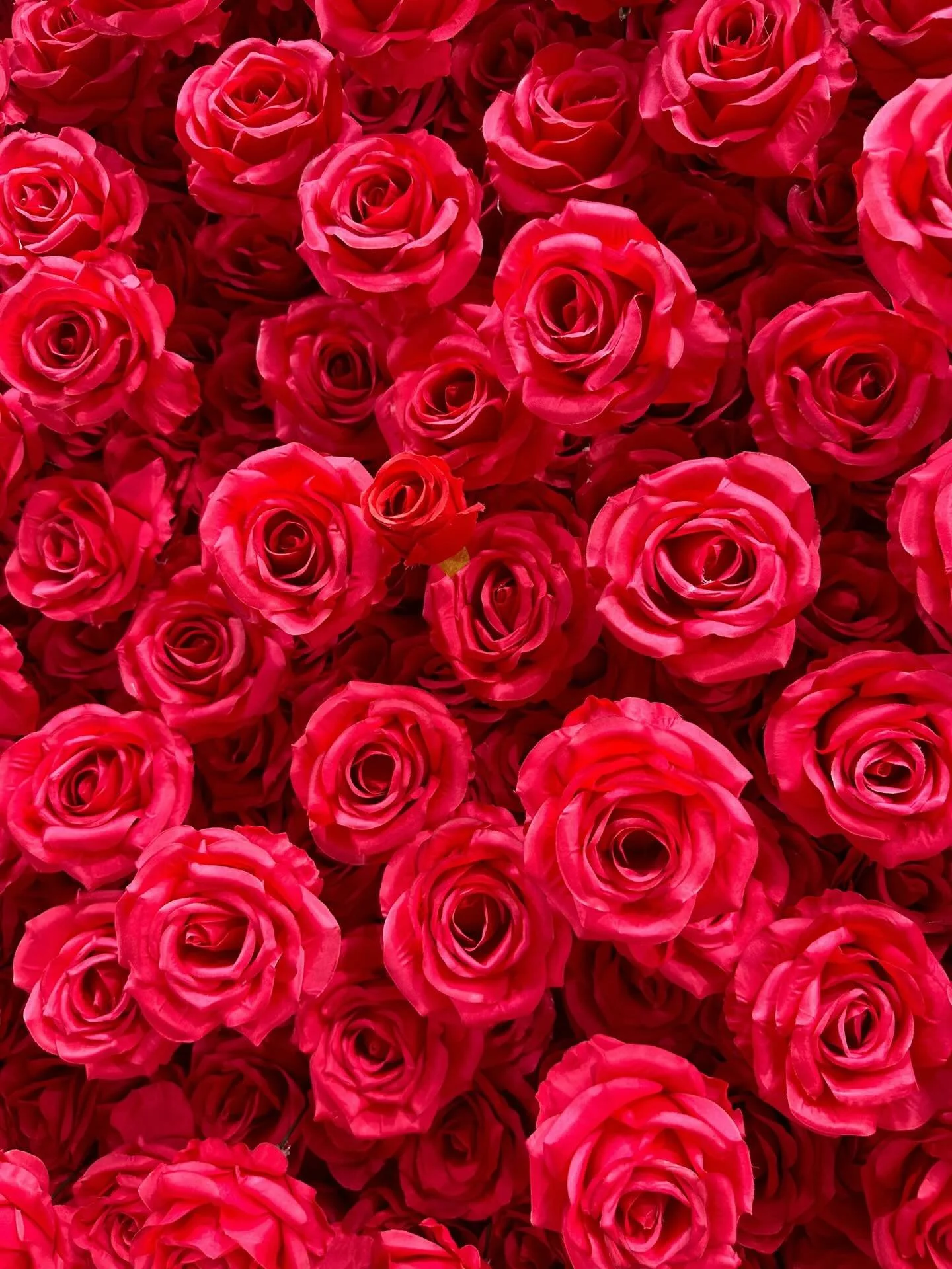 🍸🌸 Sneak Peek from The Blooming Bar 🌸🍸
We’re mixing up something beautiful — and you’re getting the first look! Here’s a behind-the-scenes glimpse at our signature flower walls, each one named after a delicious drink and b