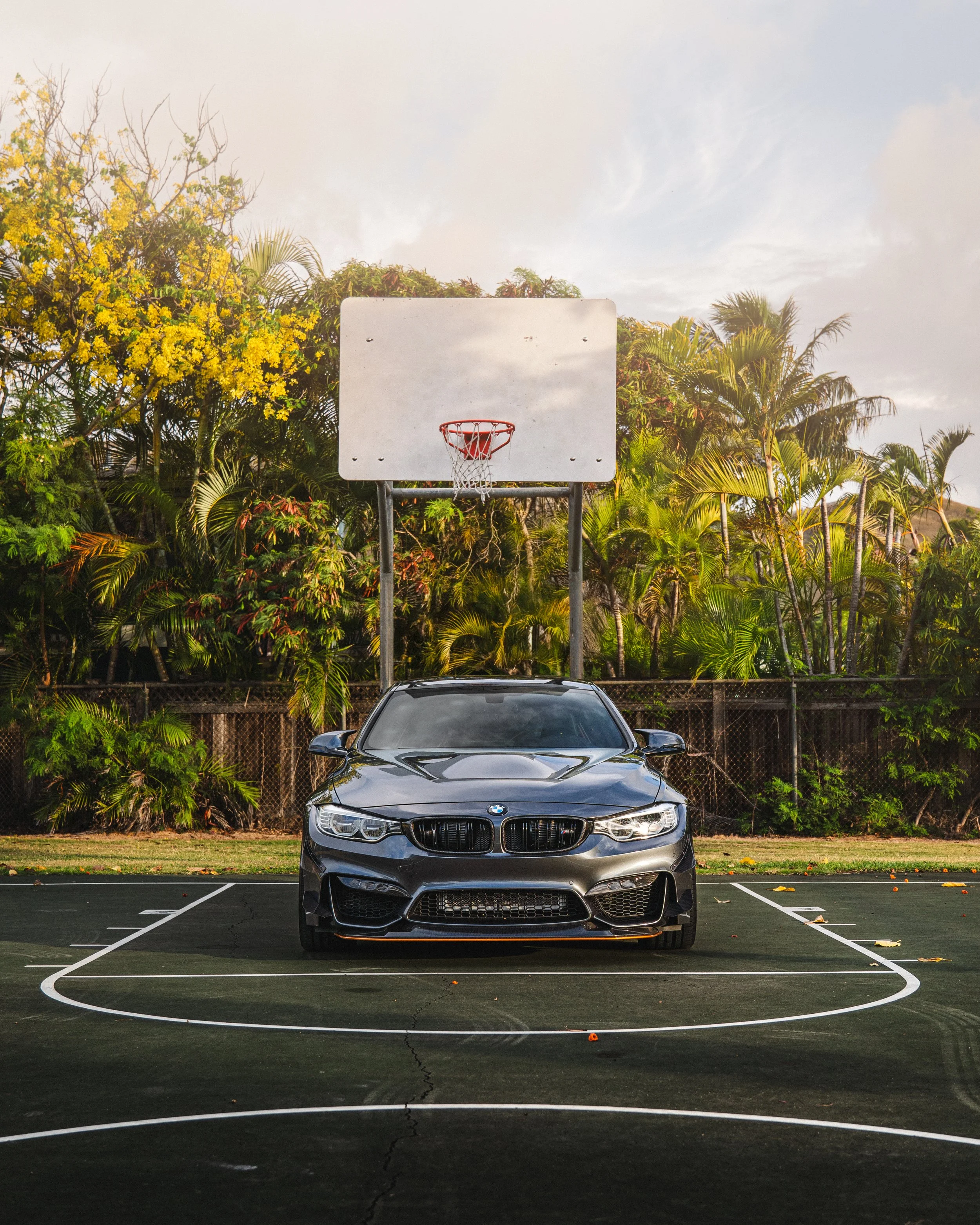 GTS_M4-3.jpg