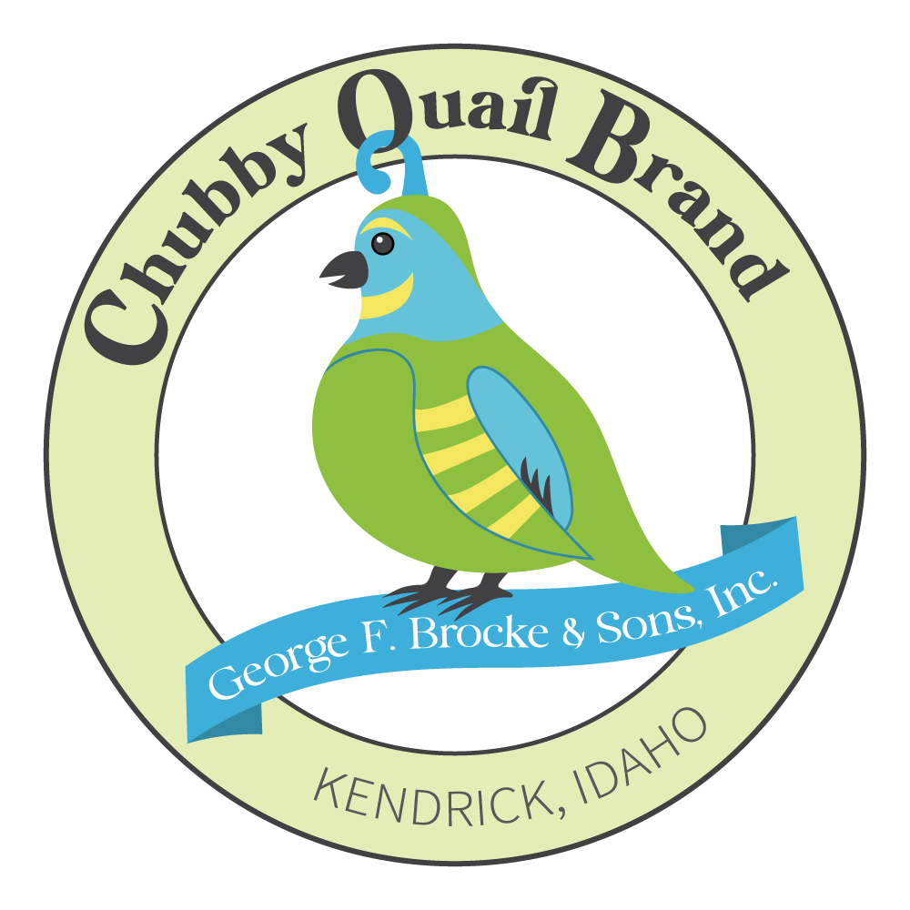 Chubby Quail