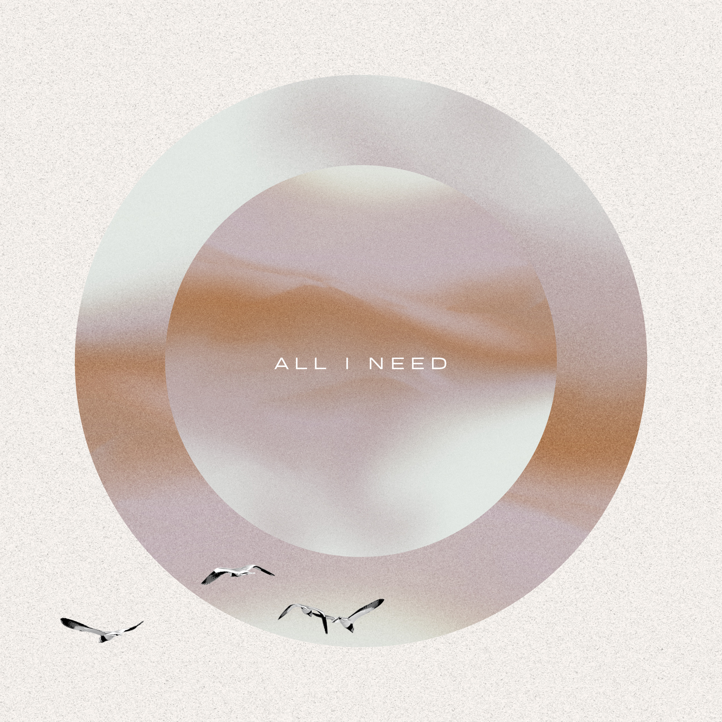 Abstract graphic with a large circle containing a blurred landscape and the words 'ALL I NEED' in the center, with four flying birds near the bottom left.