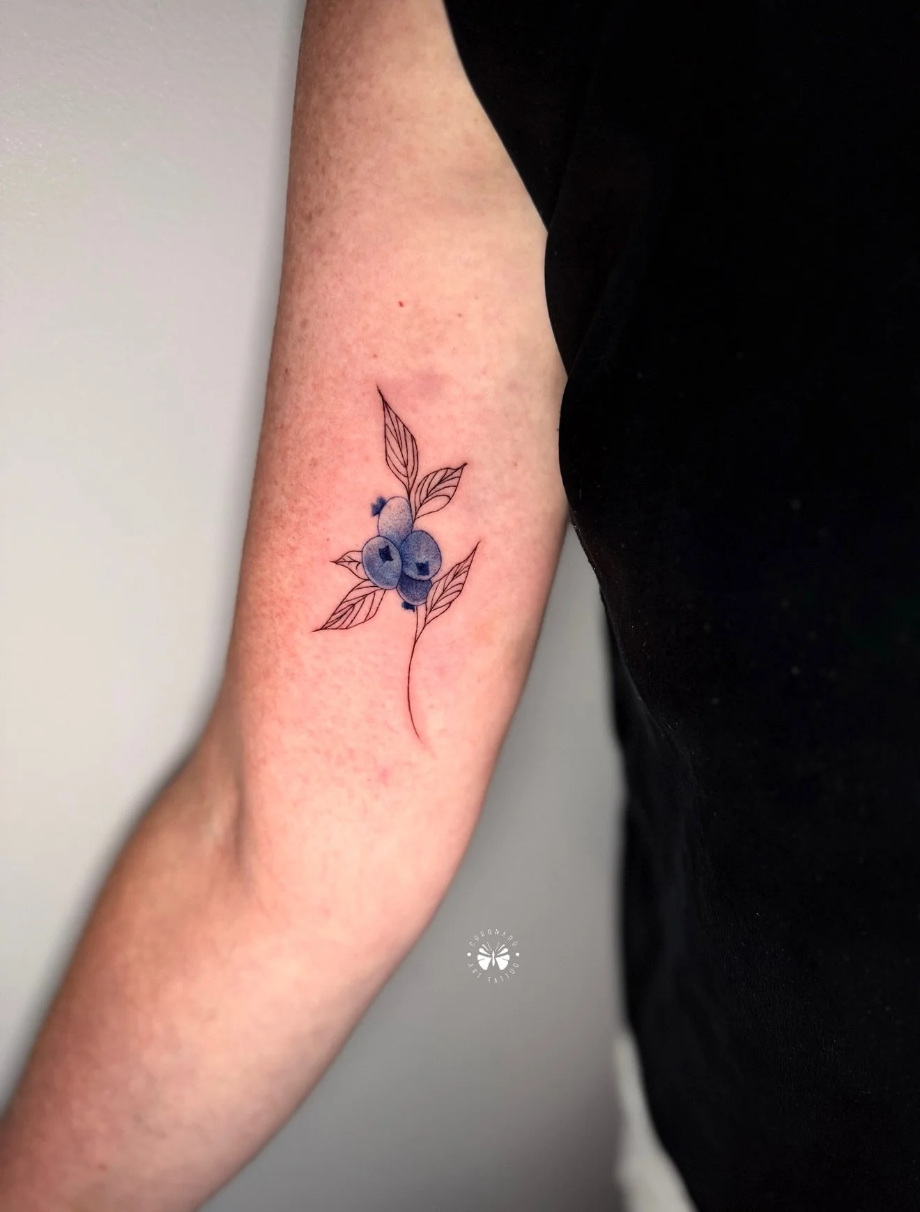 Blueberry Tattoos ! Booking available !!!
 DM me or text 📲  617-906-3191
💻  coronadotattoos.com 
.
.
.
.
.
.
.
.
.
#tattoo #tattoos #finelinetattoo