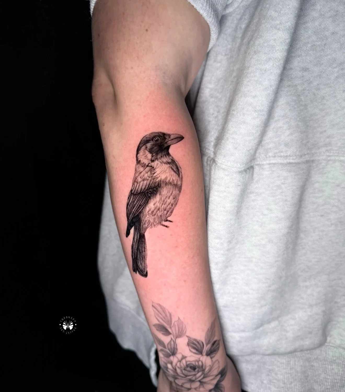 Bird tattoo ! Booking available !!!
 DM me or text 
📲  617-906-3191
💻  coronadotattoos.com 
.
.
.
.
.
.
.
.
#tattoo #tattoos #mainetattoo #finelinetattoo
