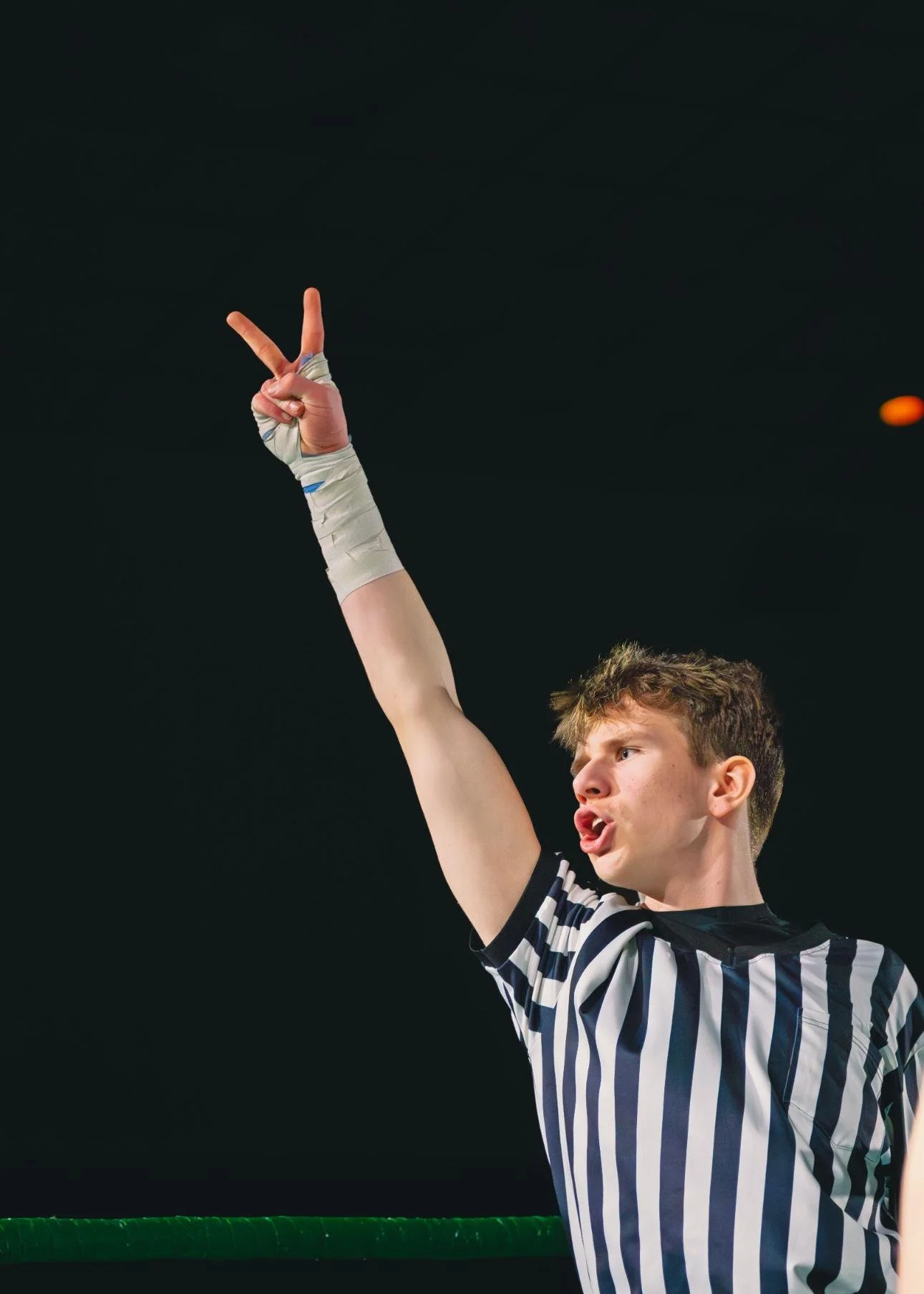 Vanhellion VS Anderson20.jpg