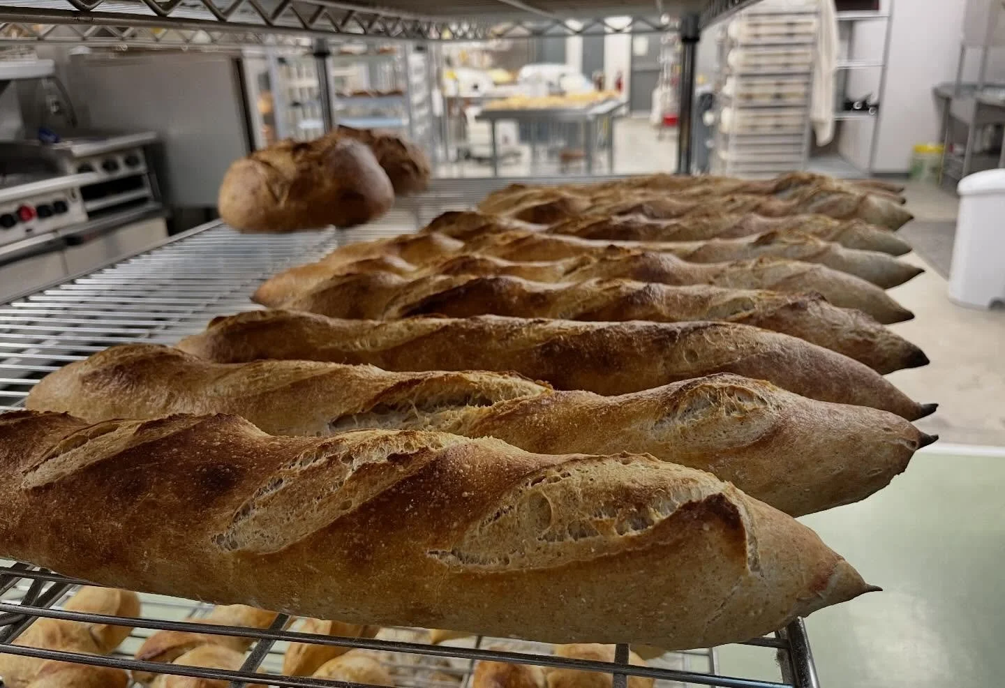 🥖Visit this week for baguettes, bagels and more!🥖

Plus, a new menu of pastry specials, starting tomorrow!

This week&rsquo;s bread and soup are: Onion &amp; Dill Rye, and Carrot Ginger Soup.

#thebreadmine