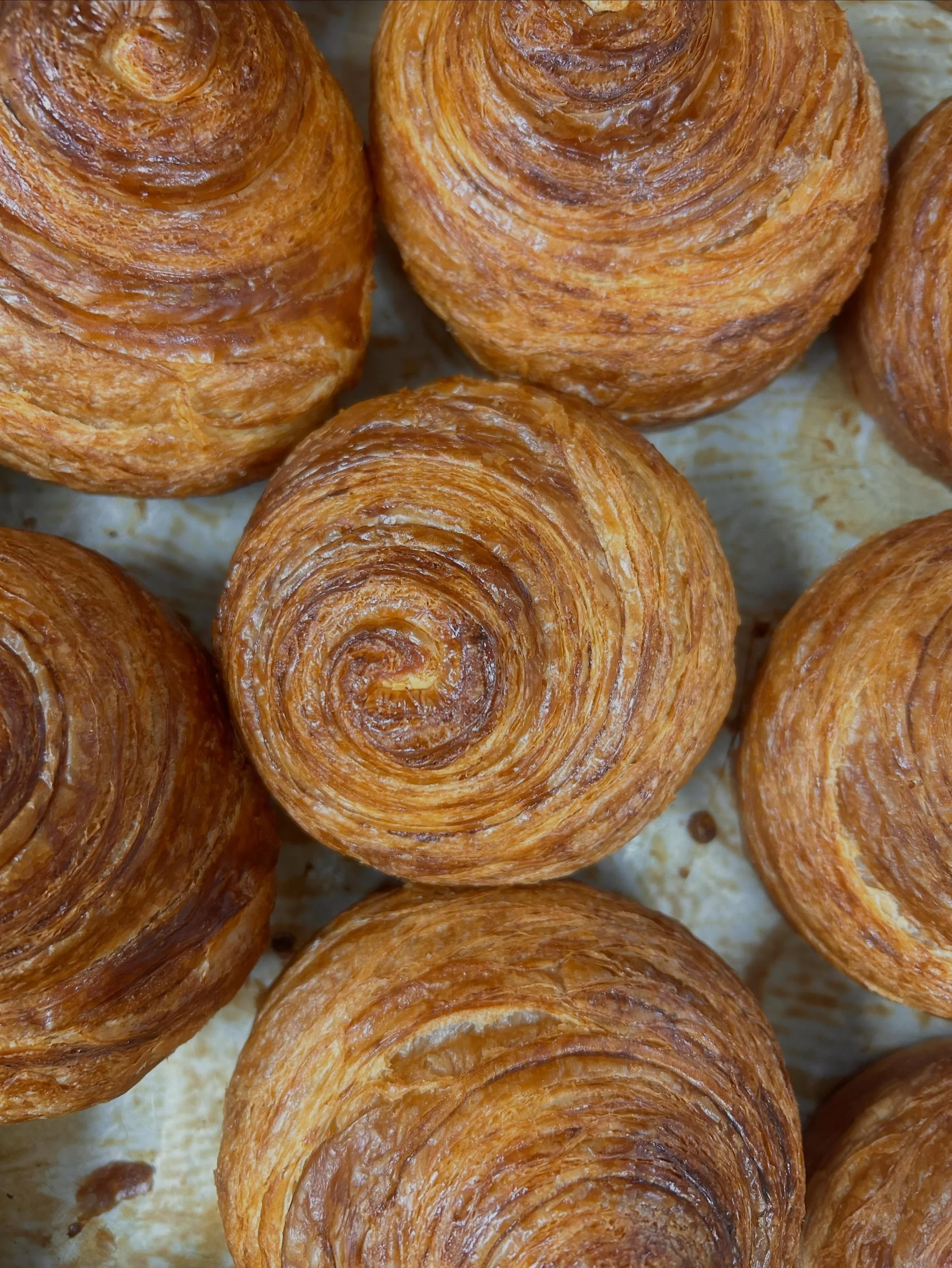 Freshly baked, flaky croissants! 🥐 

Visit this weekend and enjoy our full menu of these layered pastries! Choose from, Plain, Almond, Chocolate and Chocolate Halva.

OPEN THIRSDAY-SATURDAY 9AM-2PM

#thebreadmine #crossiant