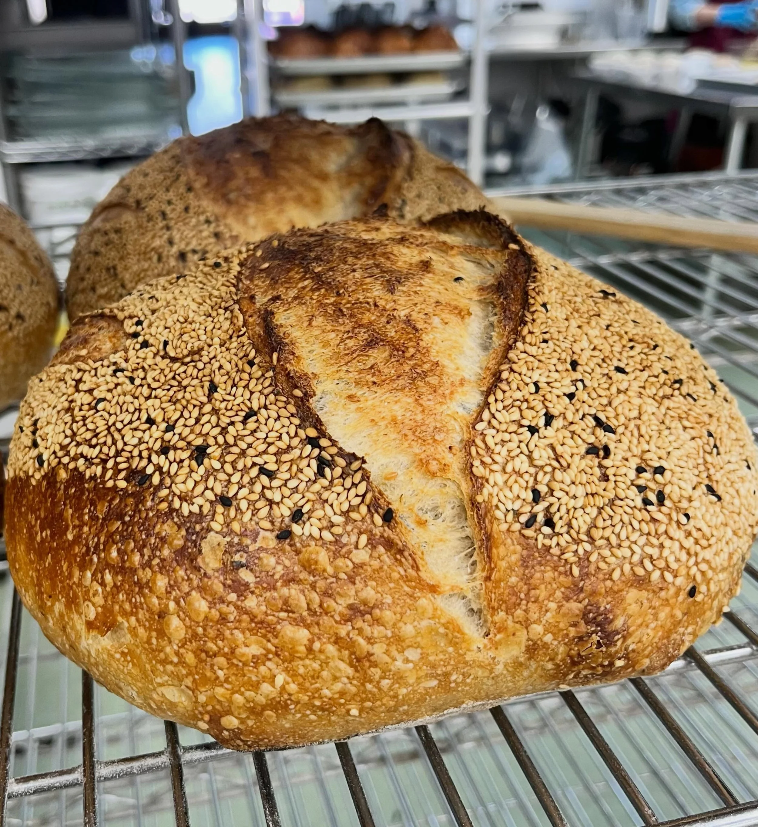 SPECIAL FOR THIS WEEK!

🥖Miso Sesame Sourdough
🥕Carrot Ginger Soup

Plus, enjoy our June pastry specials. Chatty Teragon Danish, Pesto Egg Breakfast Danish and Toasted Coconut Morning Bun!

#thebreadmine