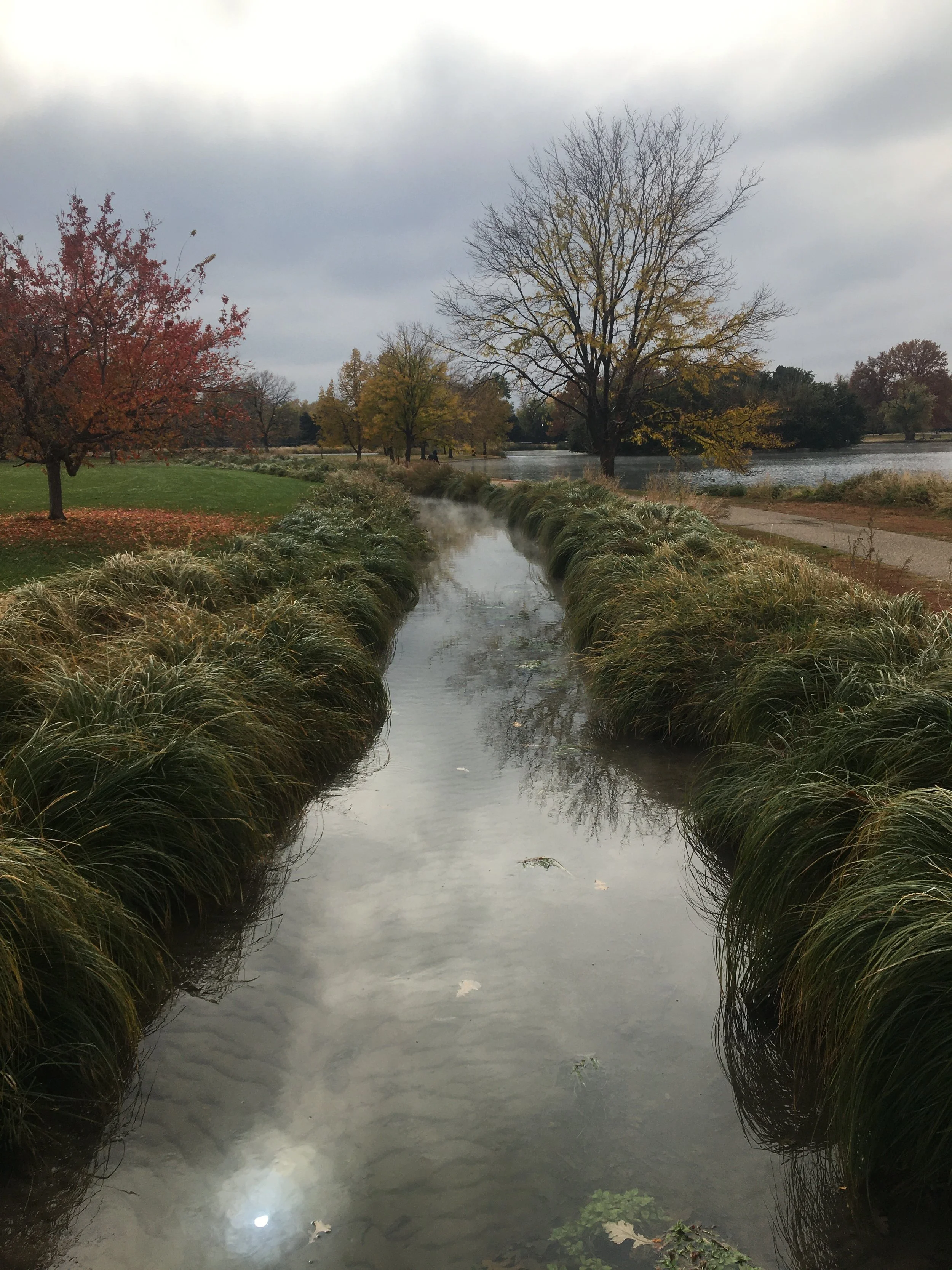 Close-up of a narrow wooden water channel filled with flowing water, with a blurred green forest background.