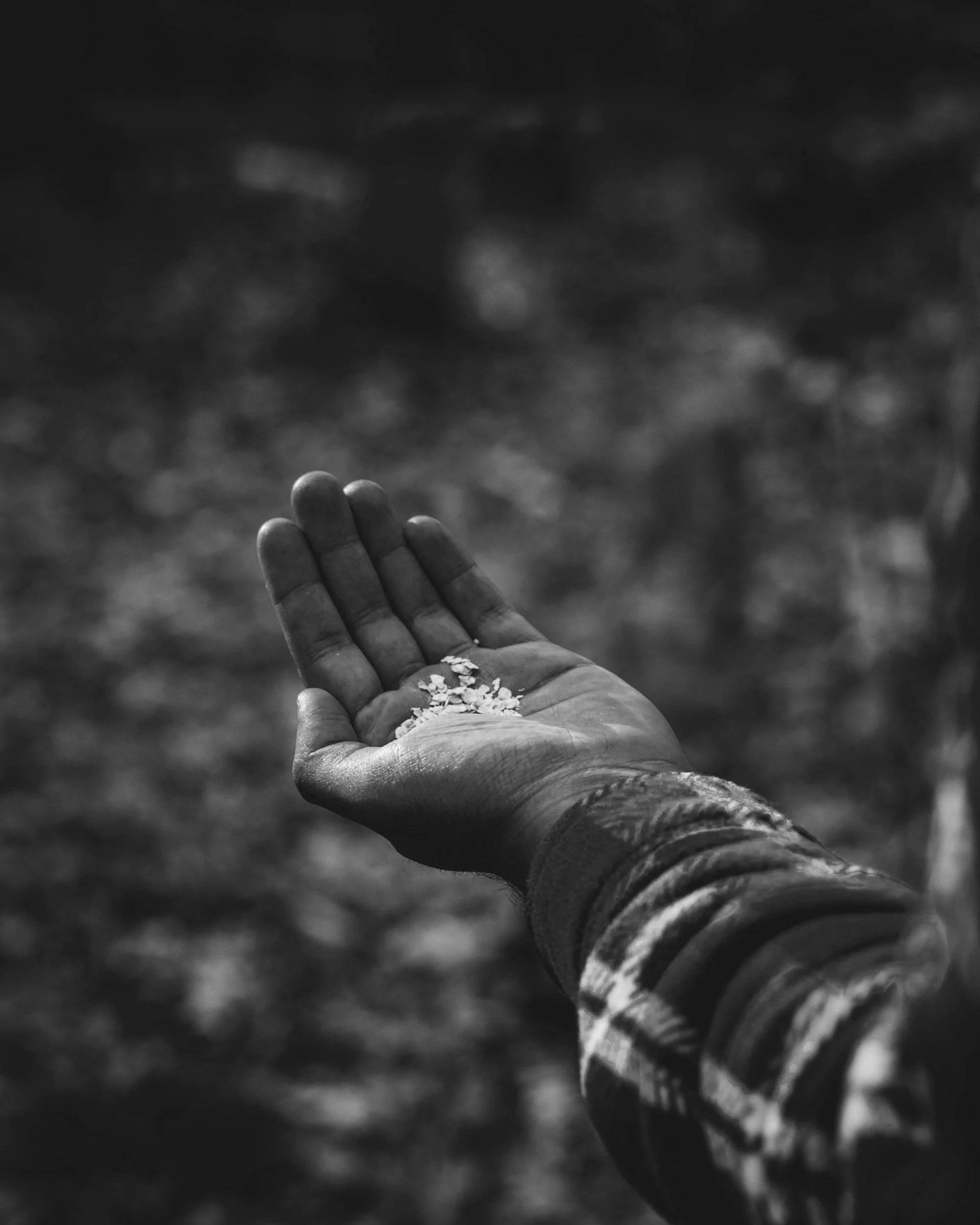 A black and white photo of a person's hand holding grains or seeds, with a blurred background.