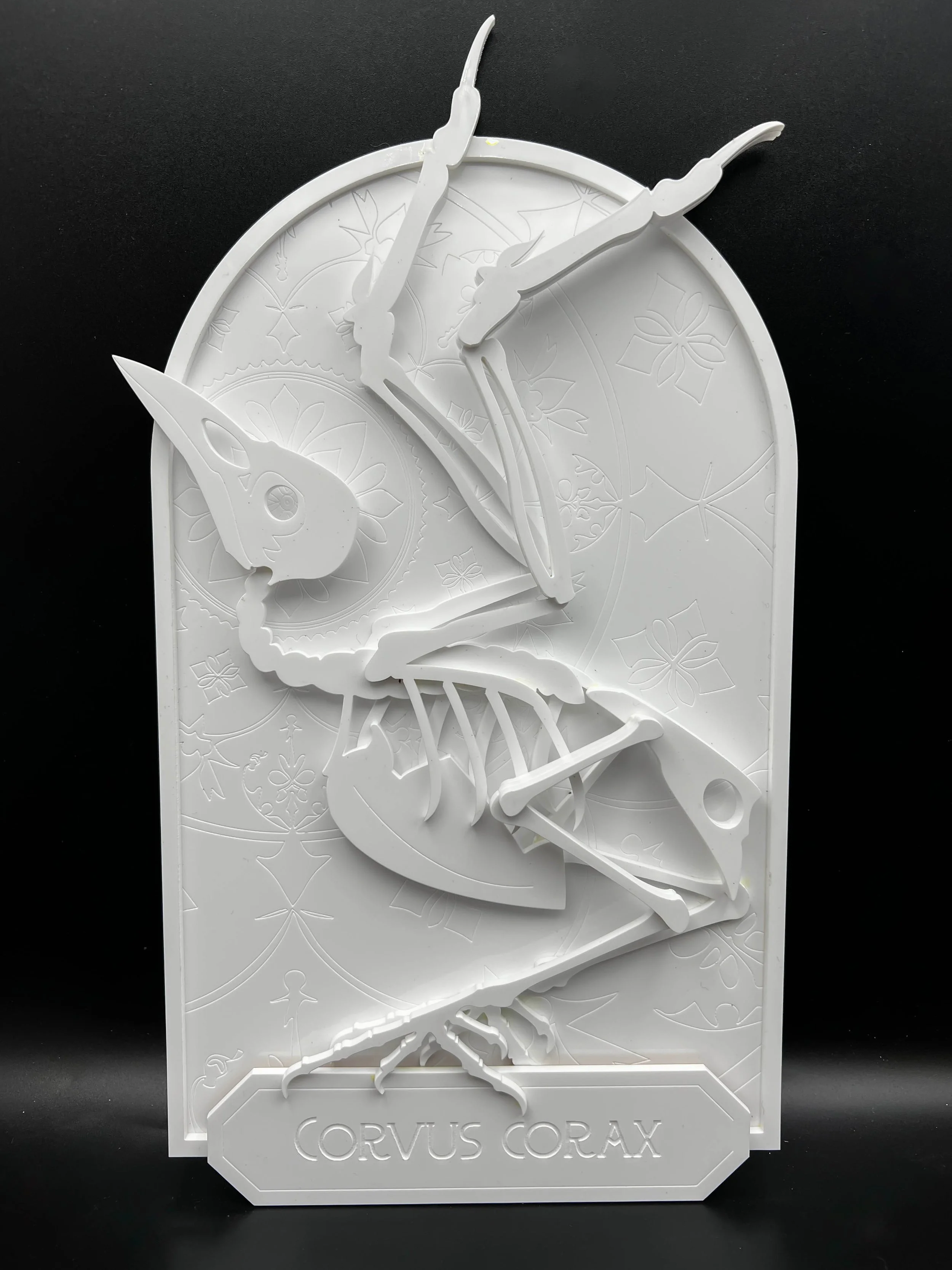 Sanctity in Decay
-
White Acrylic