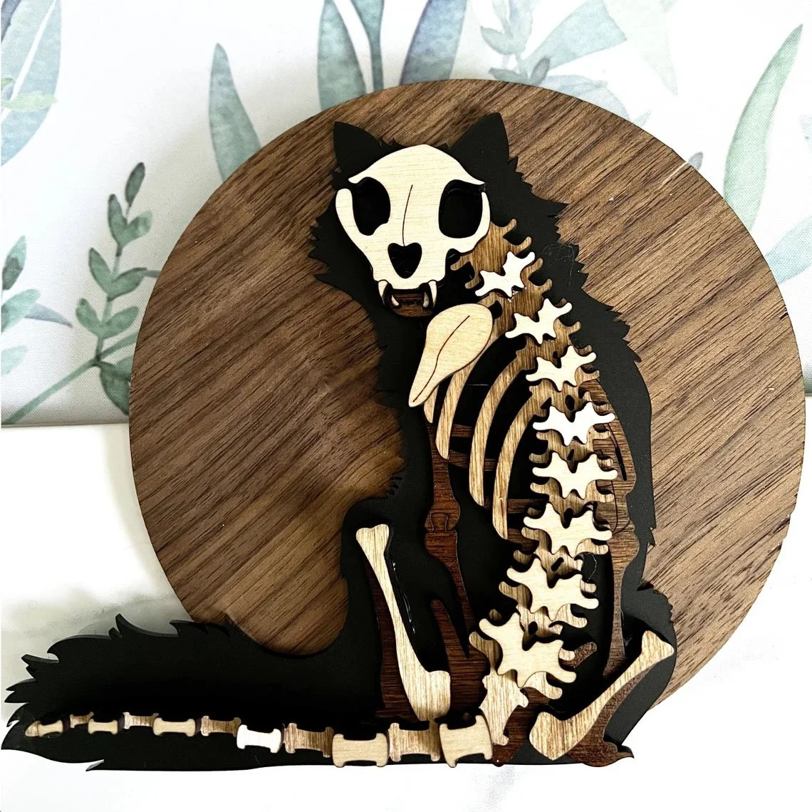 Cat Skeleton