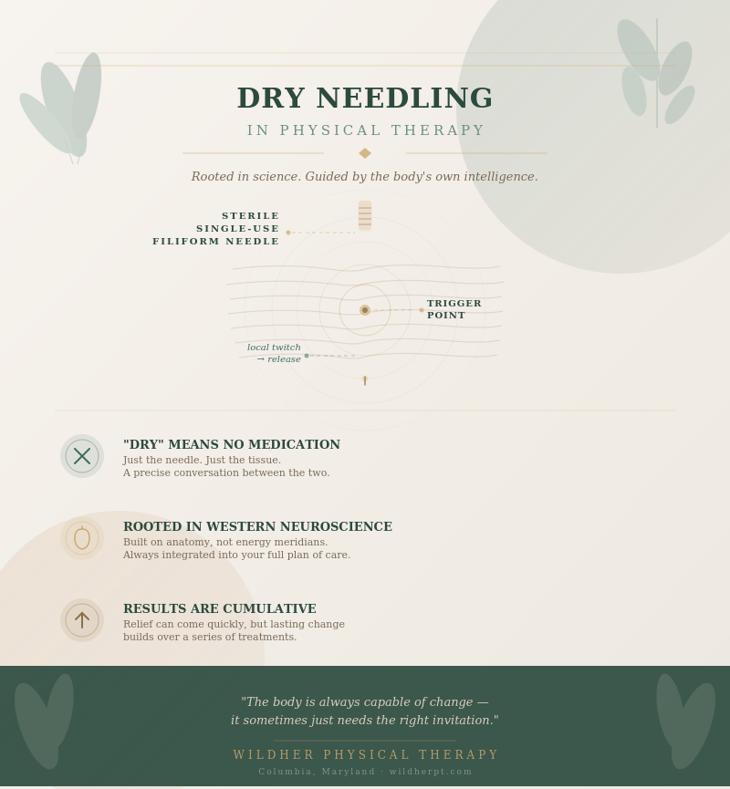 Tan infographic that with highlights about dry needling that is listed in the article