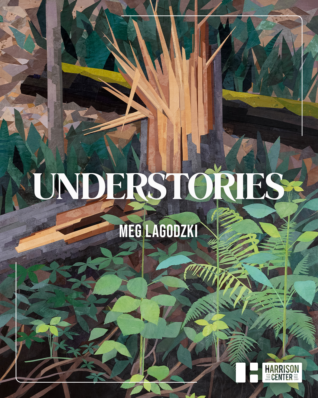 Current: "Understories" Solo exhibition at Harrison Center, Indianapolis