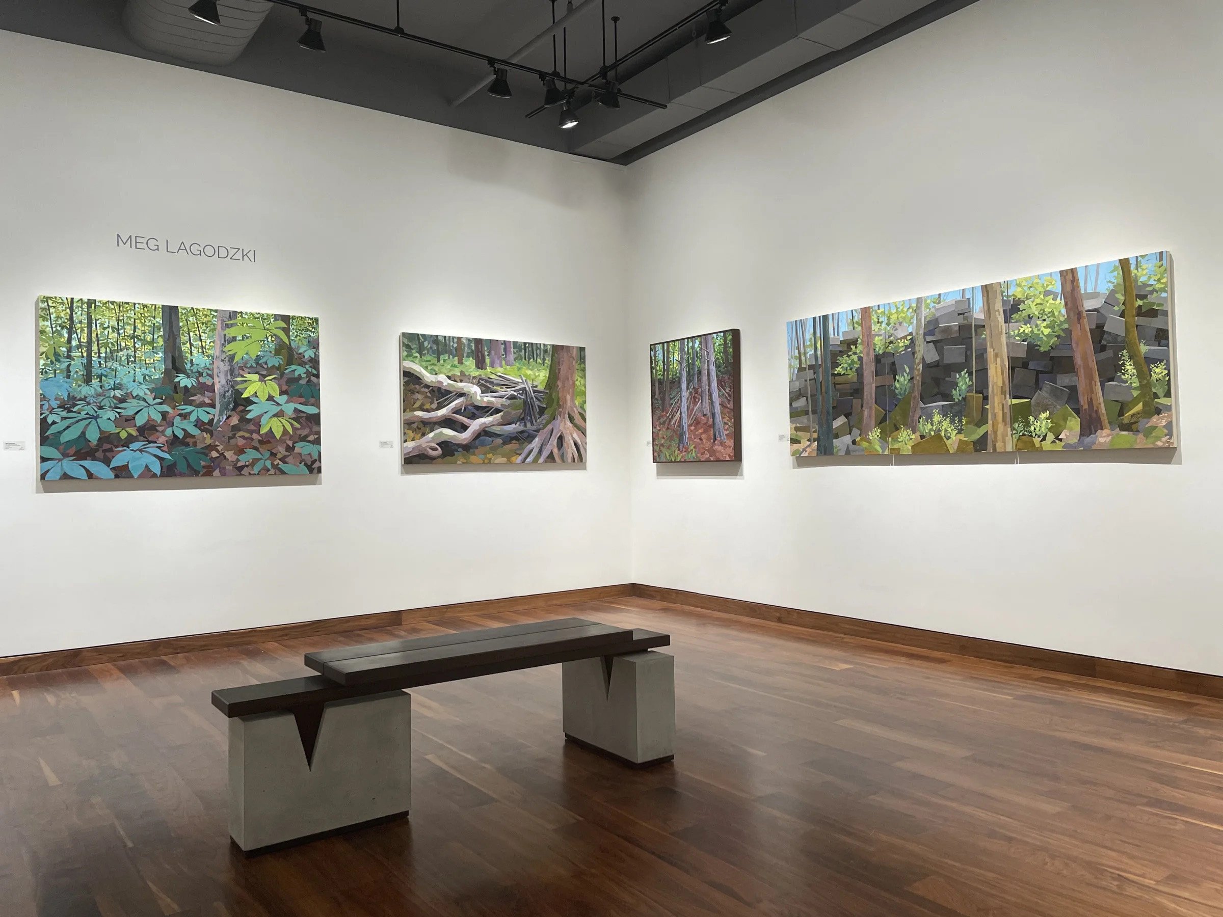 Gallery wall displaying four landscape paintings of forest scenes with trees, roots, rocks, and foliage, with a wooden bench in the foreground.
