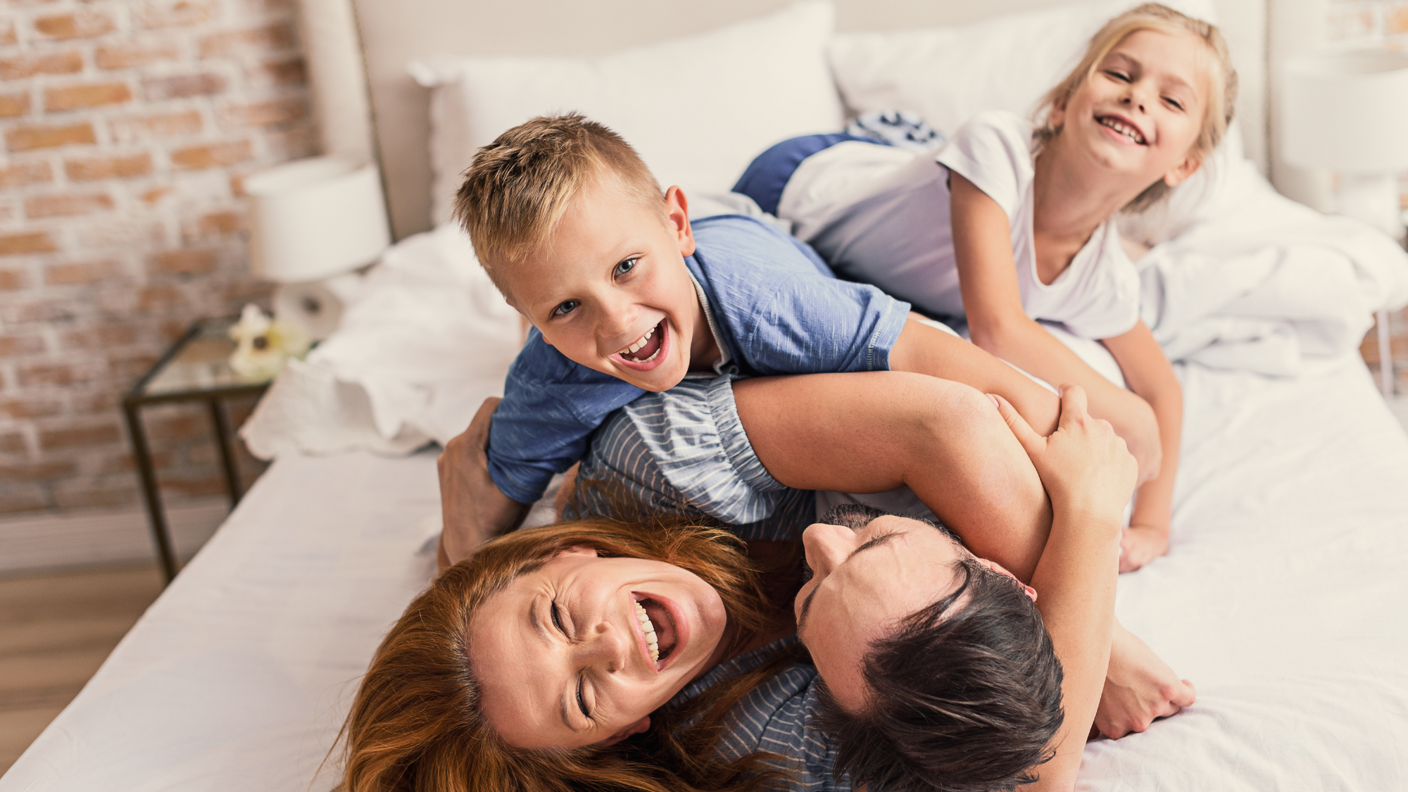 Perth townies - Web banner - family home.png