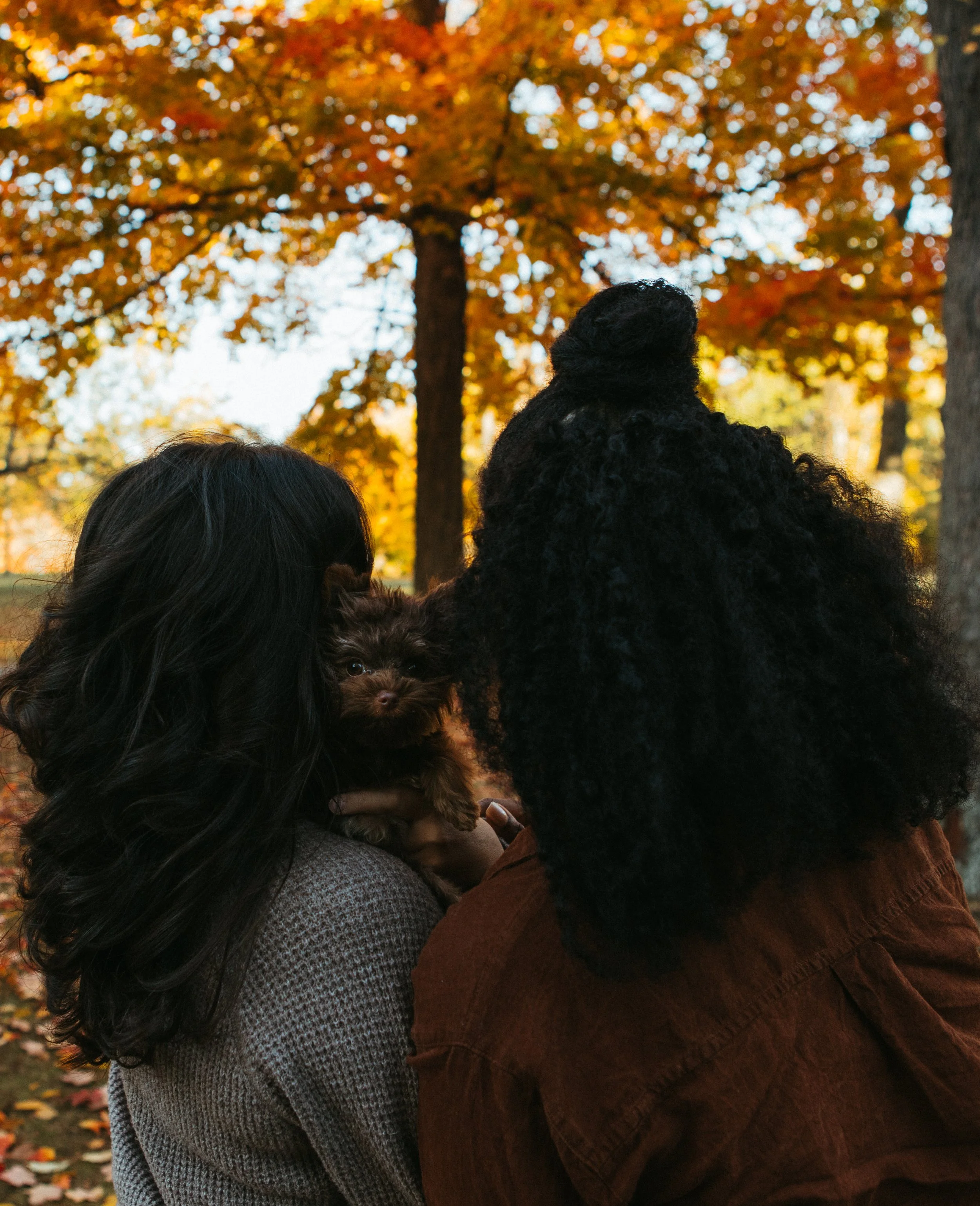 awakedreaming  (5 of 19).jpg